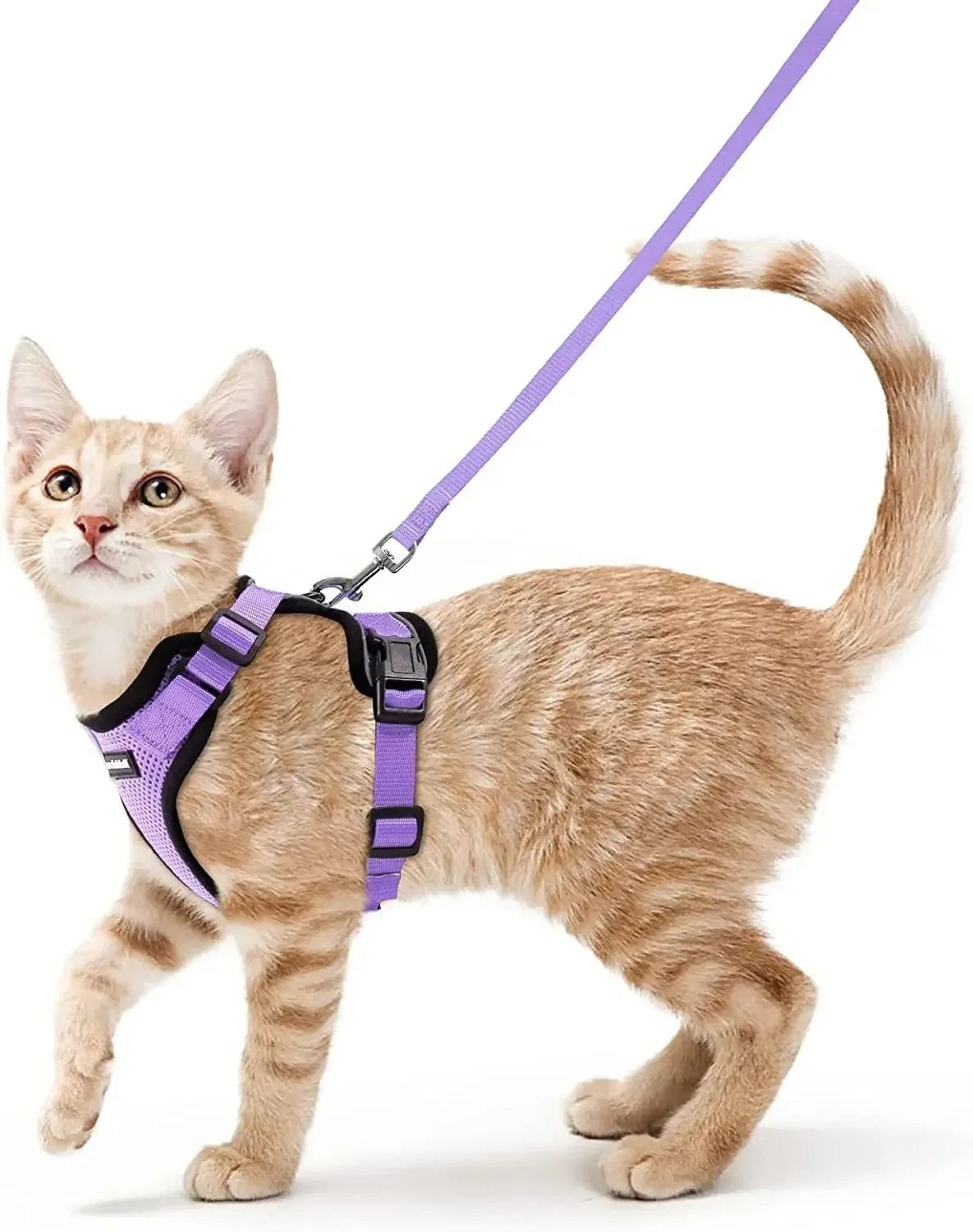ATUBAN Escape Proof Cat Harness And Leash Set With Breathable Reflective Vest 8