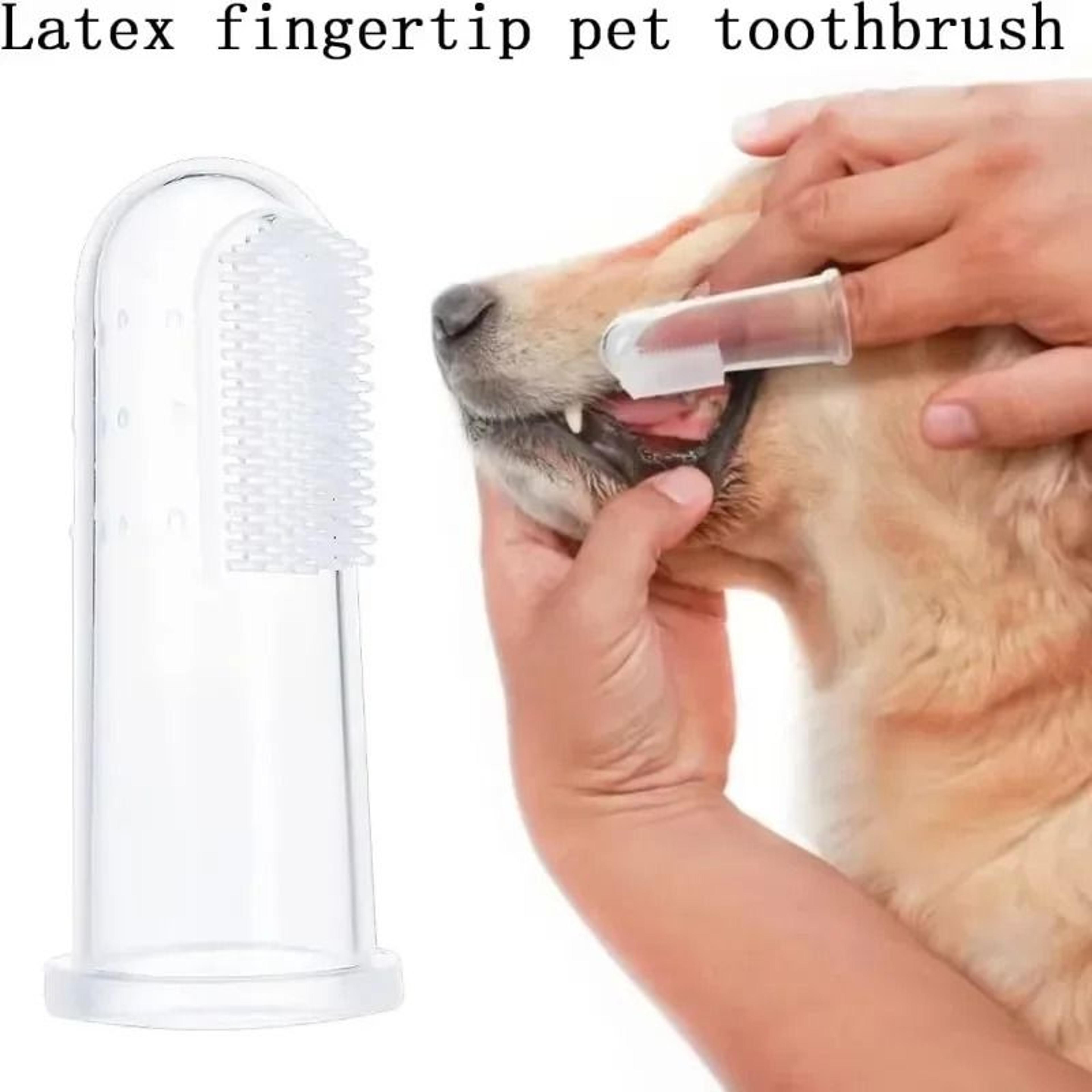 Super Soft Pet Finger Toothbrush Fleet 1