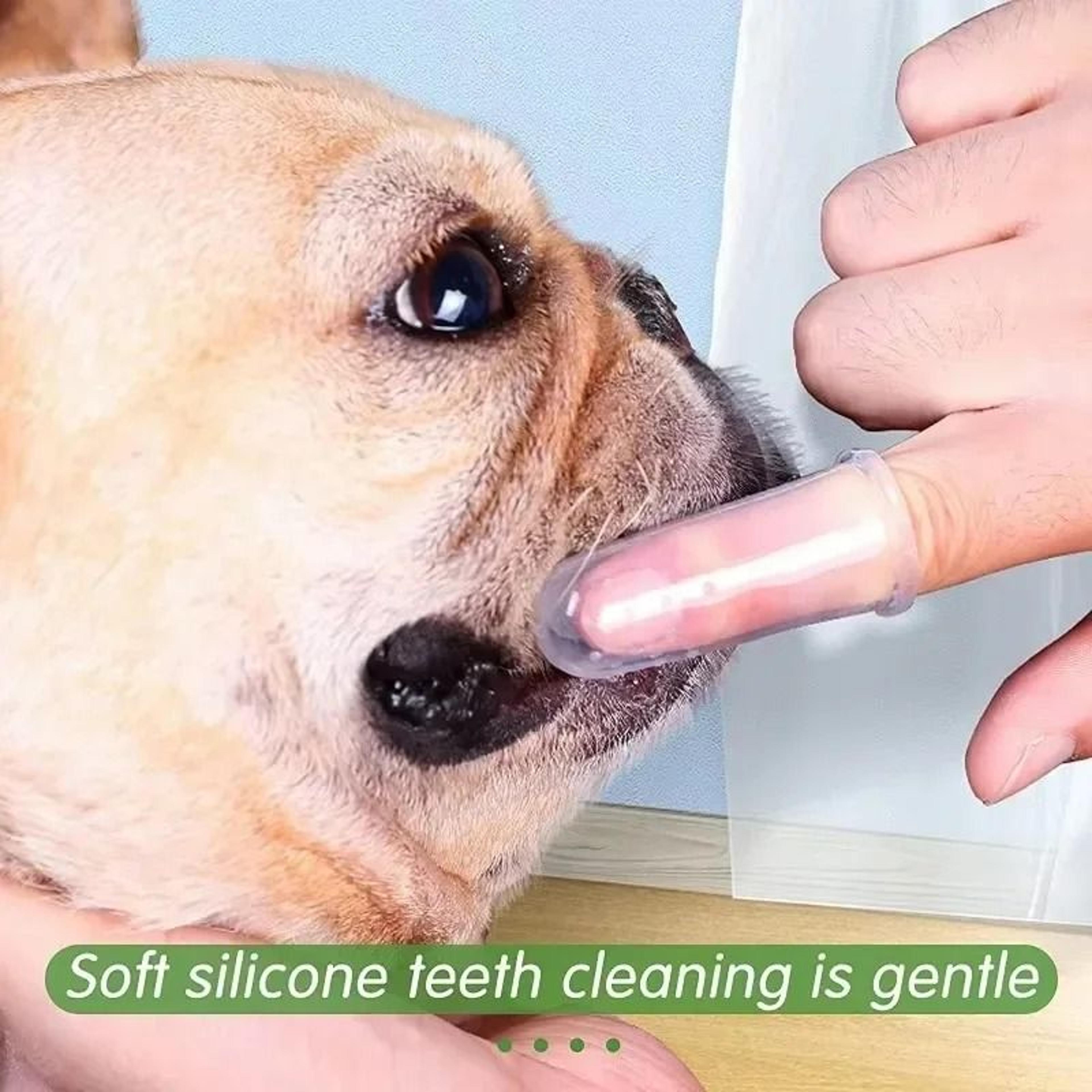 Super Soft Pet Finger Toothbrush Fleet 2