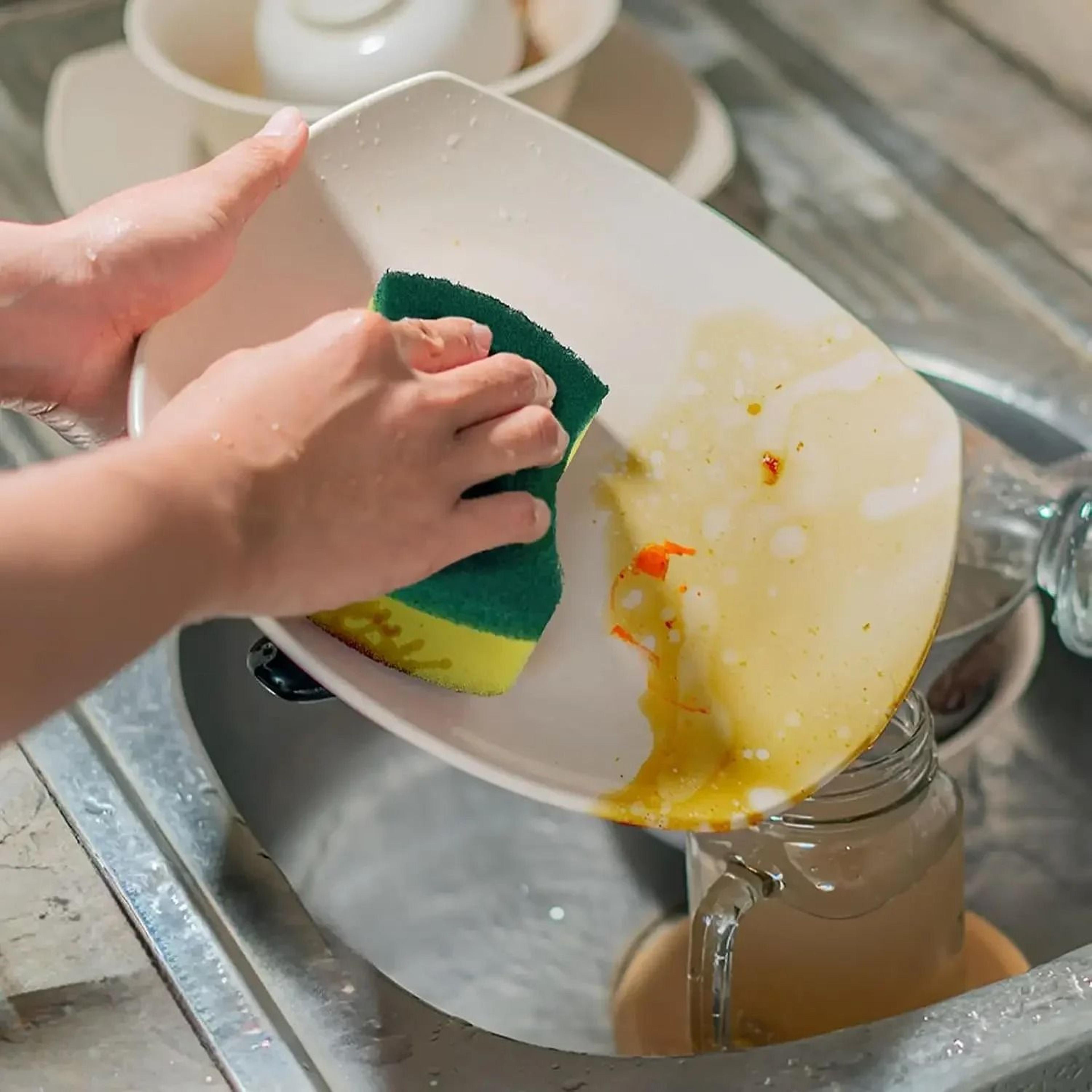 DualTexture Kitchen Scouring And Dishwashing Sponge Fleet 1