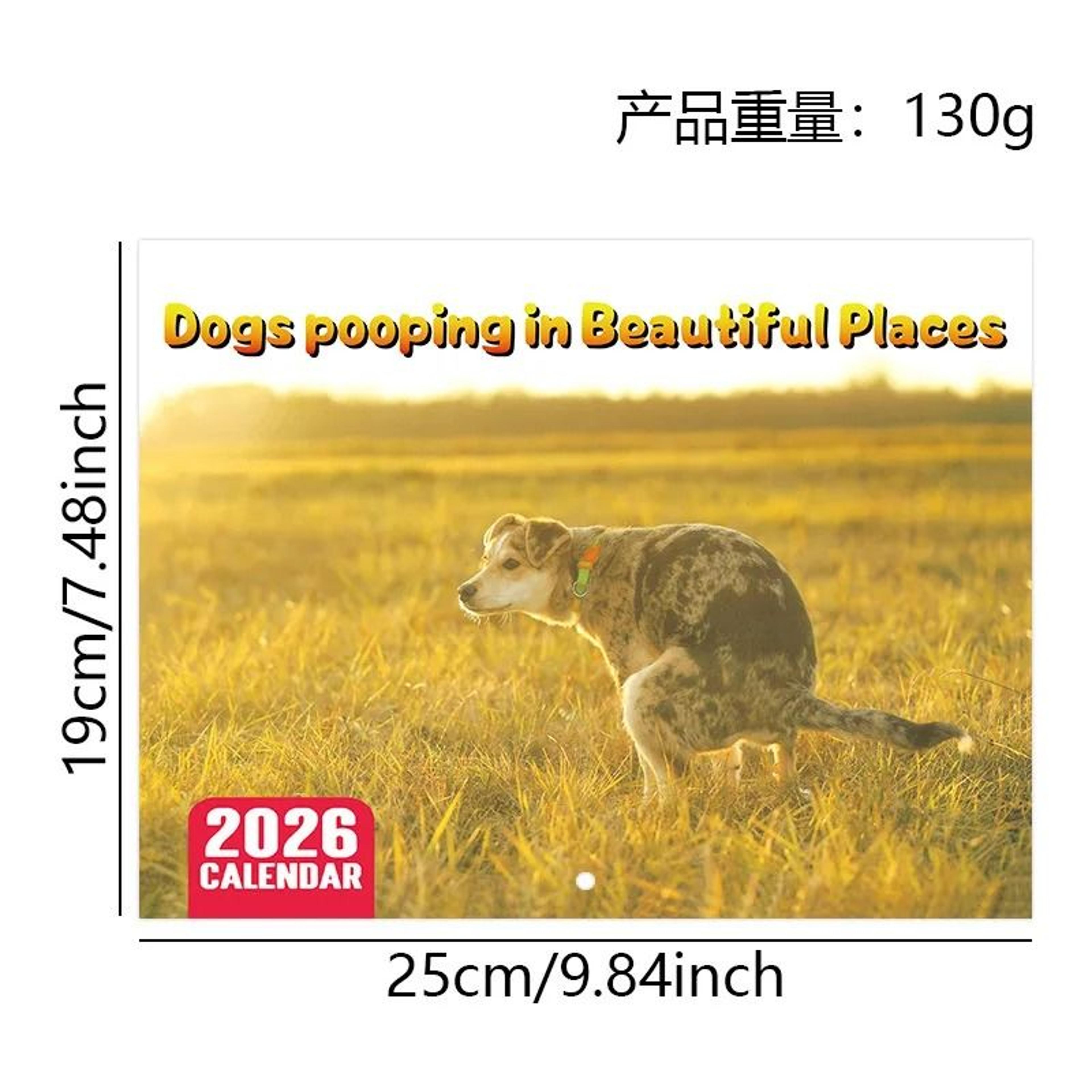 2026 Pooping Dog Calendar Year Monthly Planner Schedule Organizer Wall Calendar 5