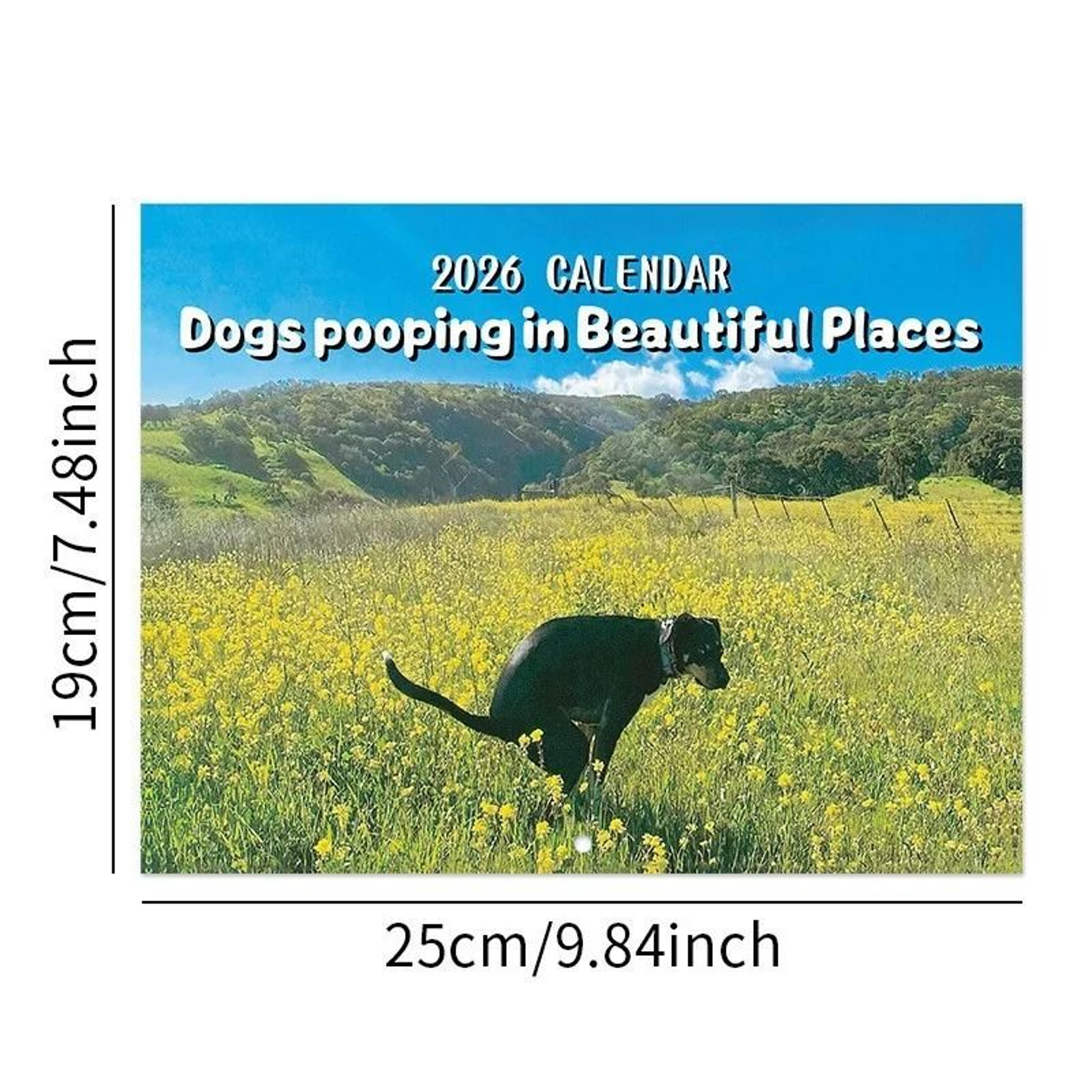 2026 Pooping Dog Calendar Year Monthly Planner Schedule Organizer Wall Calendar 7
