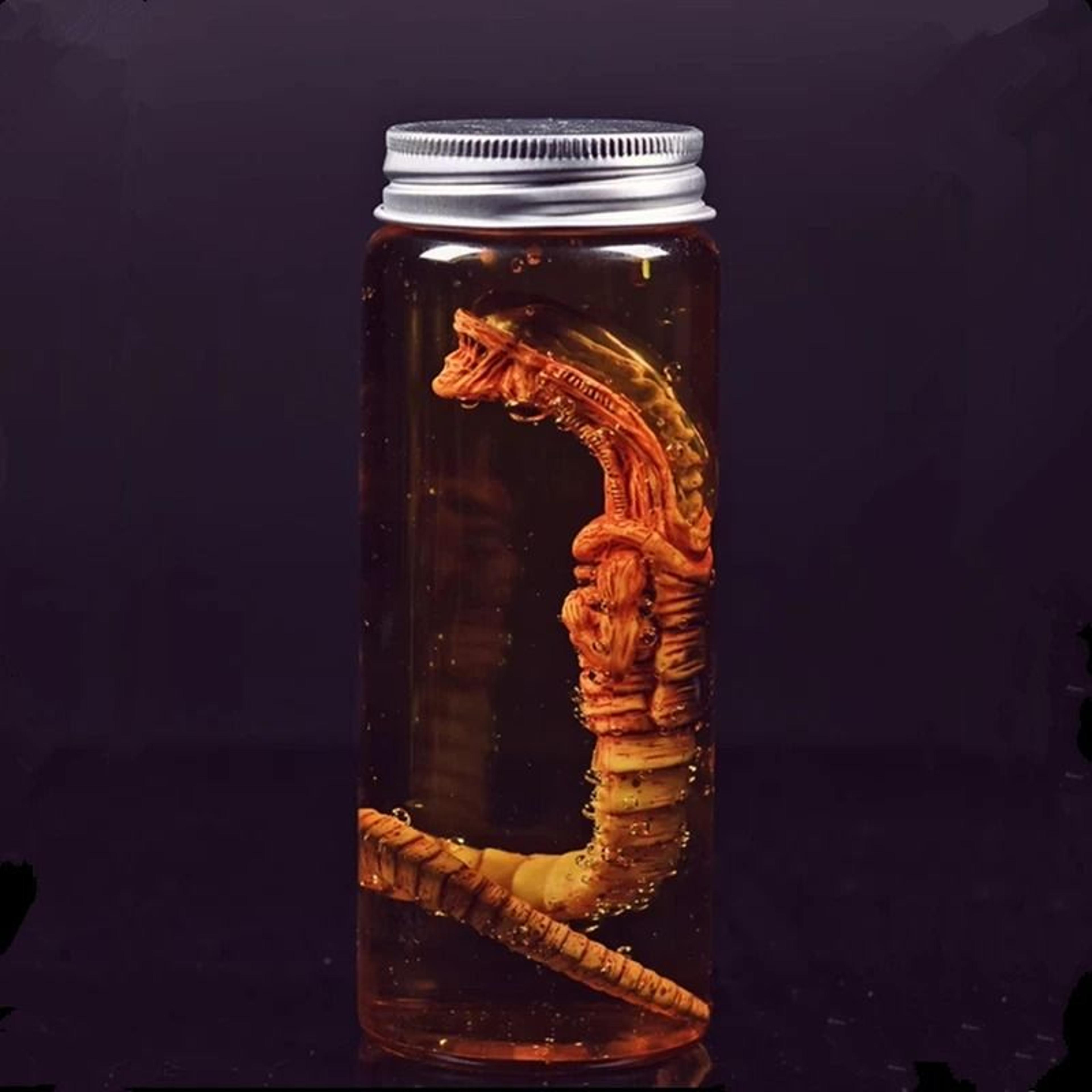 Alien Xenomorph Specimen Jar Prop Replica Facehugger Embryo Containment Pod 7