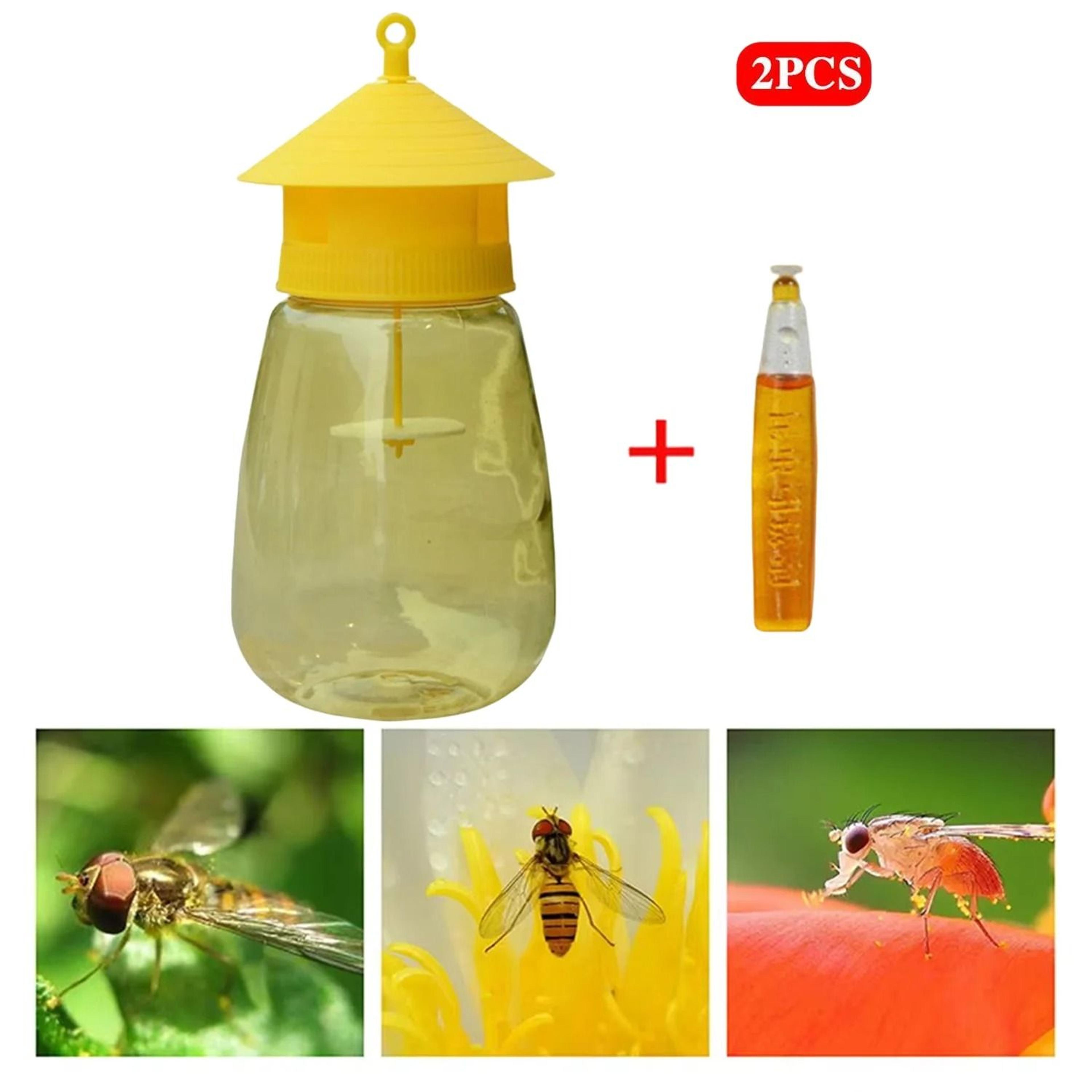 fruit fly trap killer set with attractant plastic drosophila orchard catcher