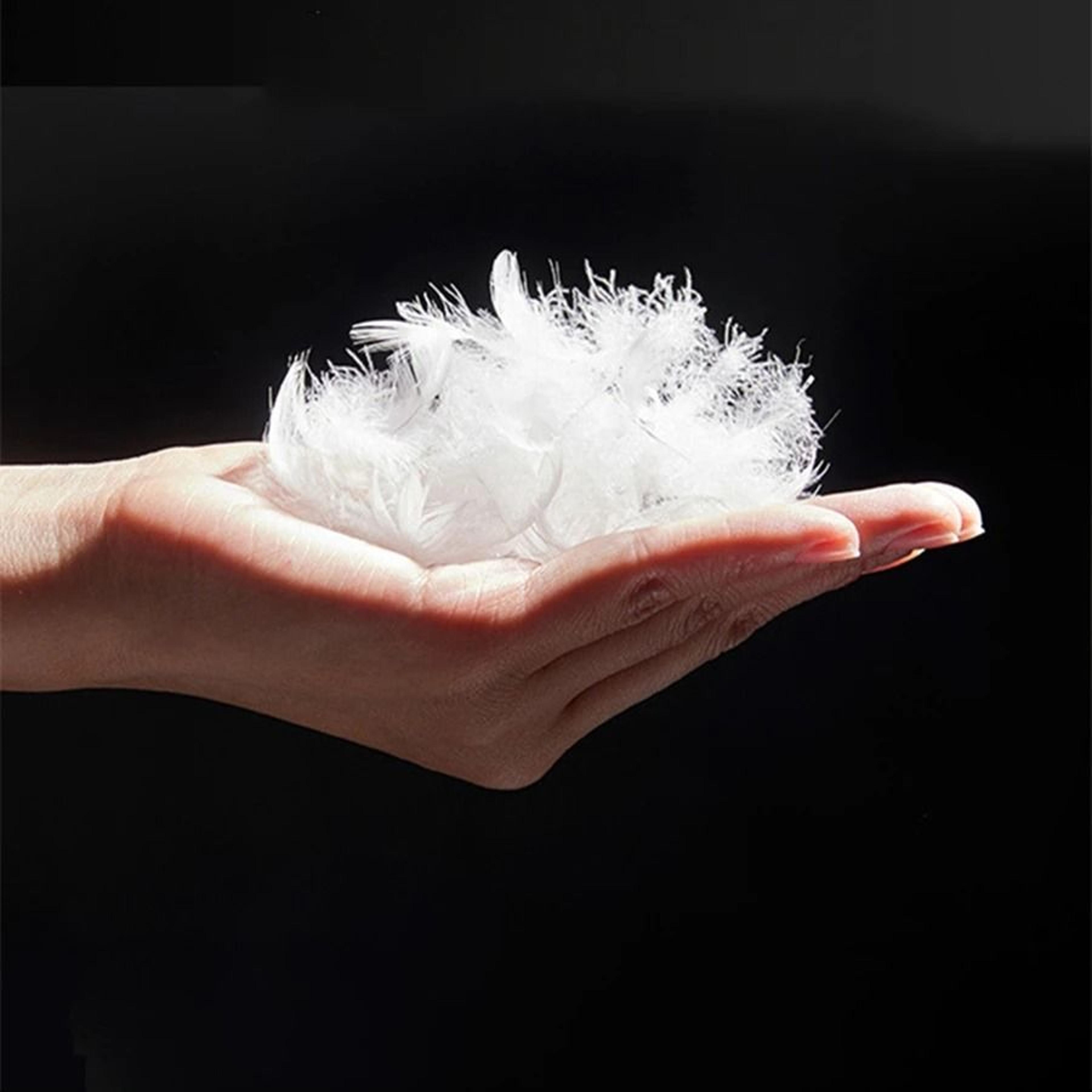 100 White Goose Feather Pillow FiveStar Hotel Grade Orthopedic Neck Pillow 48x74cm 2