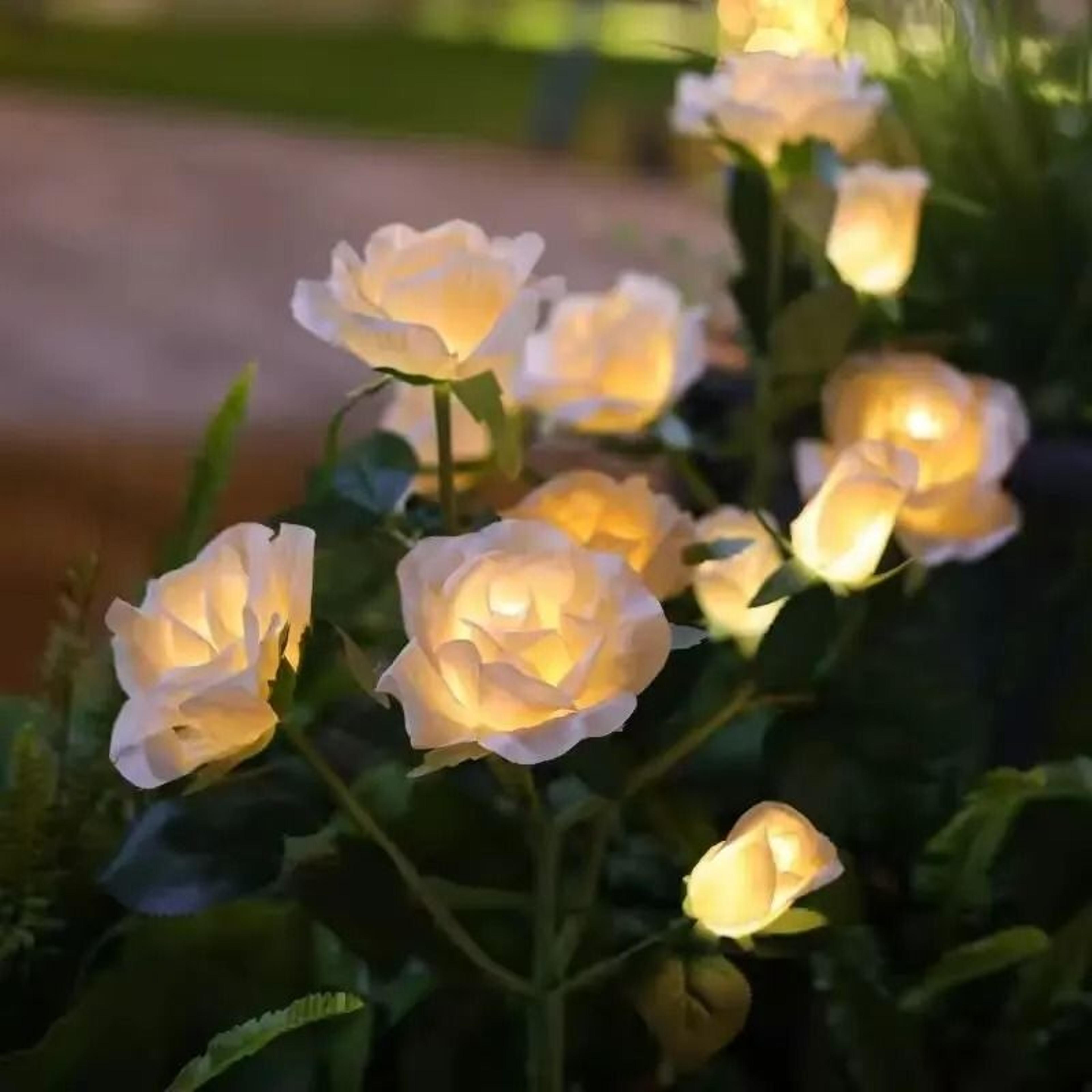 5Head Solar Rose Flower Outdoor LED Stake Light For Garden  Pathway 1