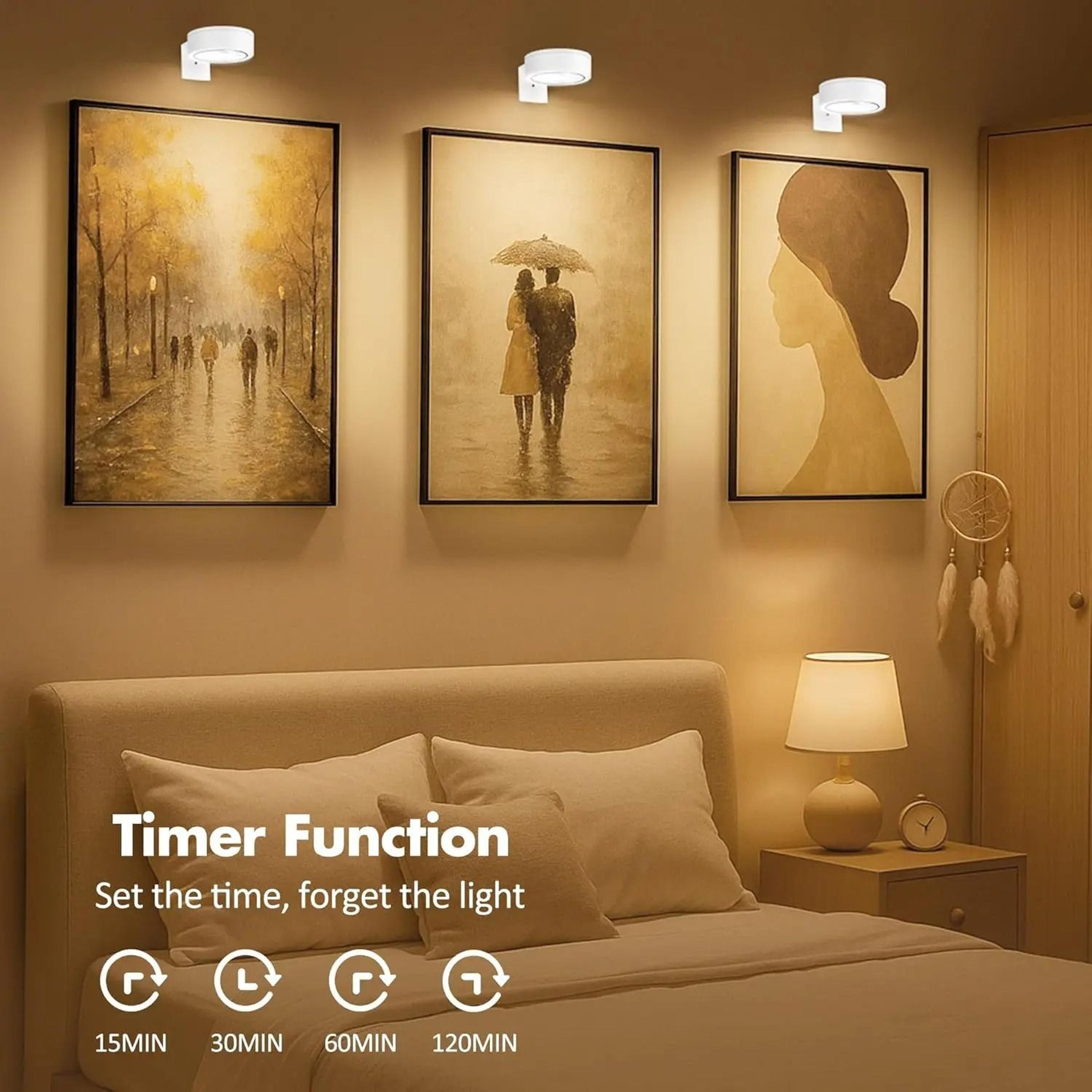 3Pack BatteryOperated Magnetic LED Picture  Art Display Lights With Remote 3