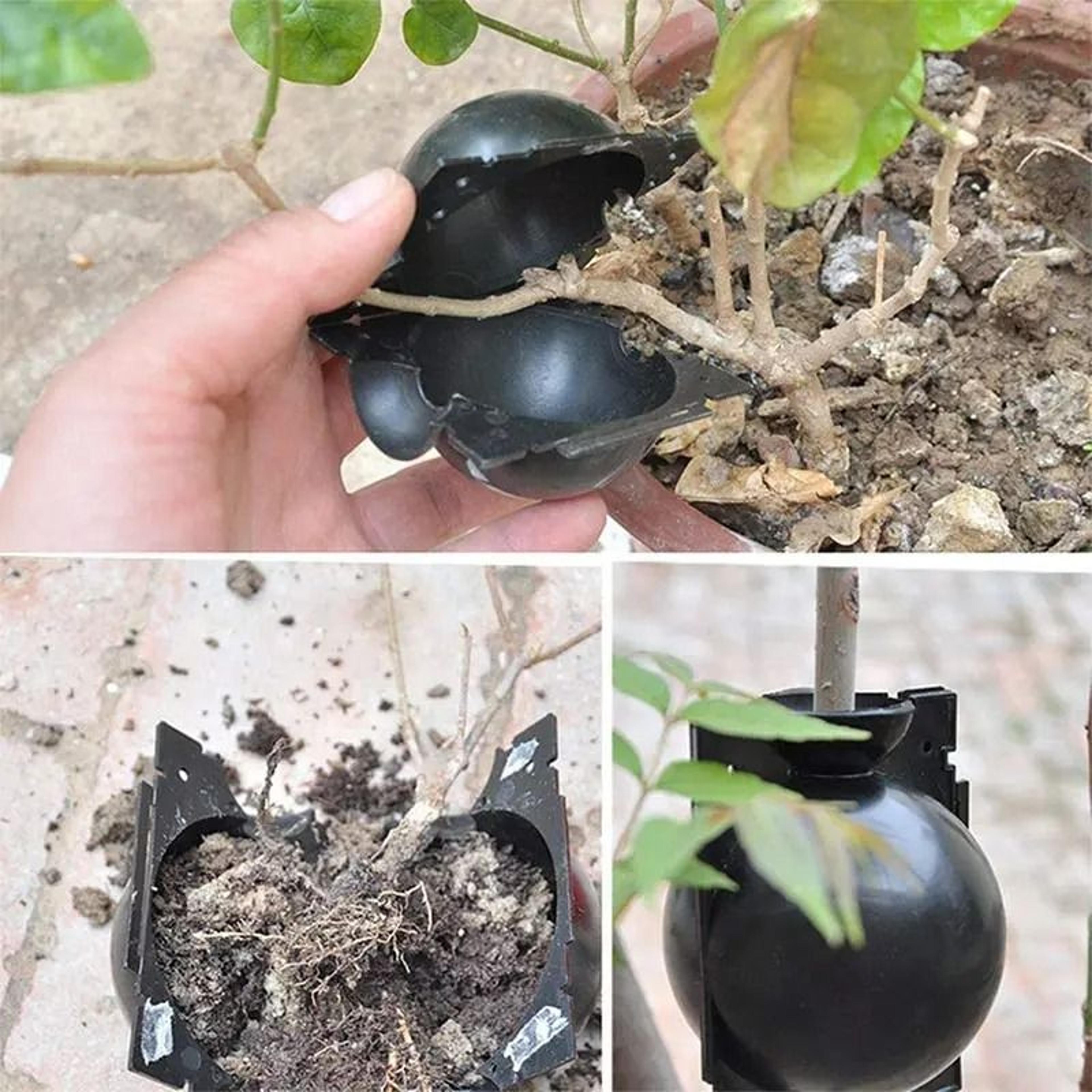 10-piece reusable plant rooting ball set & high-pressure propagation growing box
