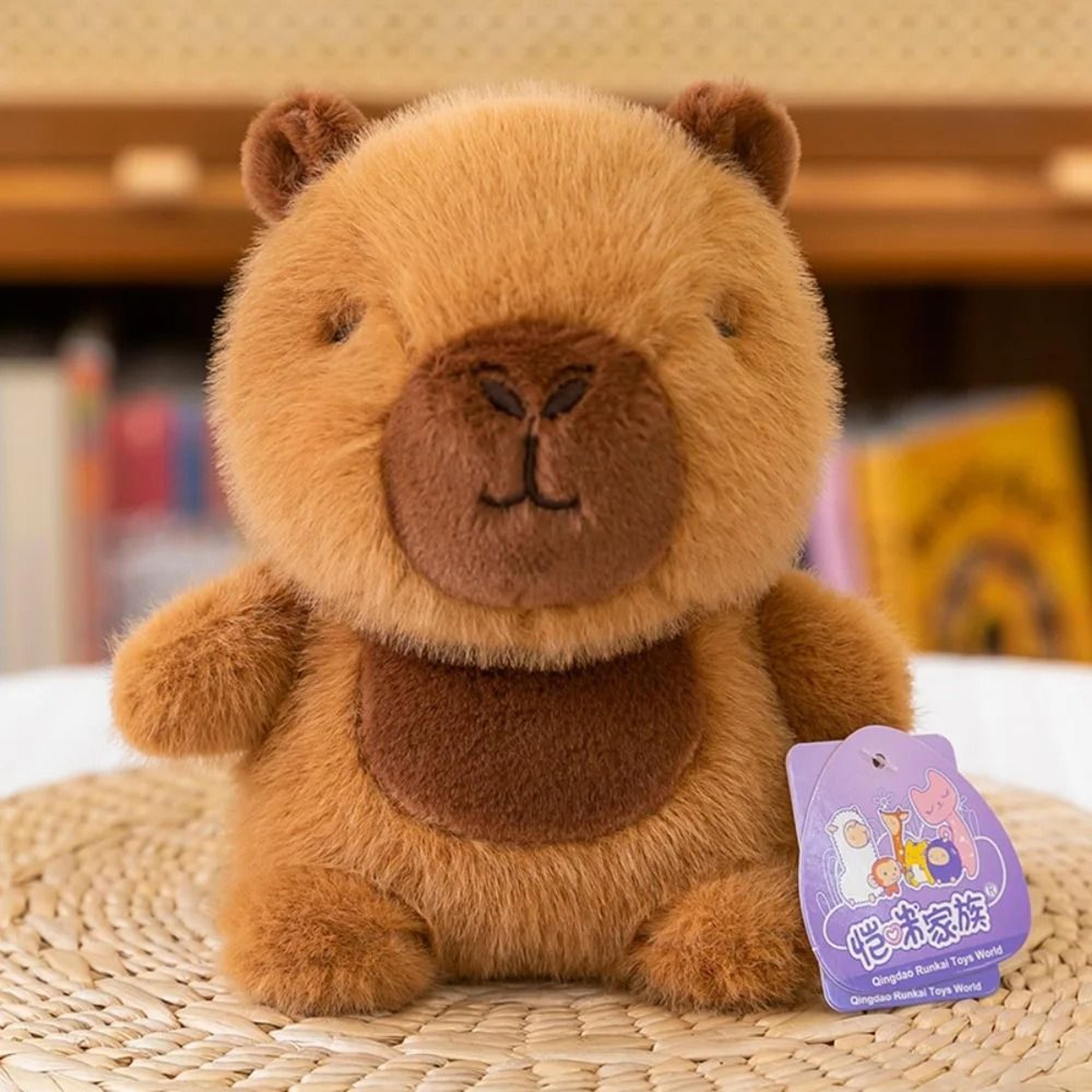 Cute 16cm Plush Companion Doll Super Soft Animal Pillow Stuffed Toy 22
