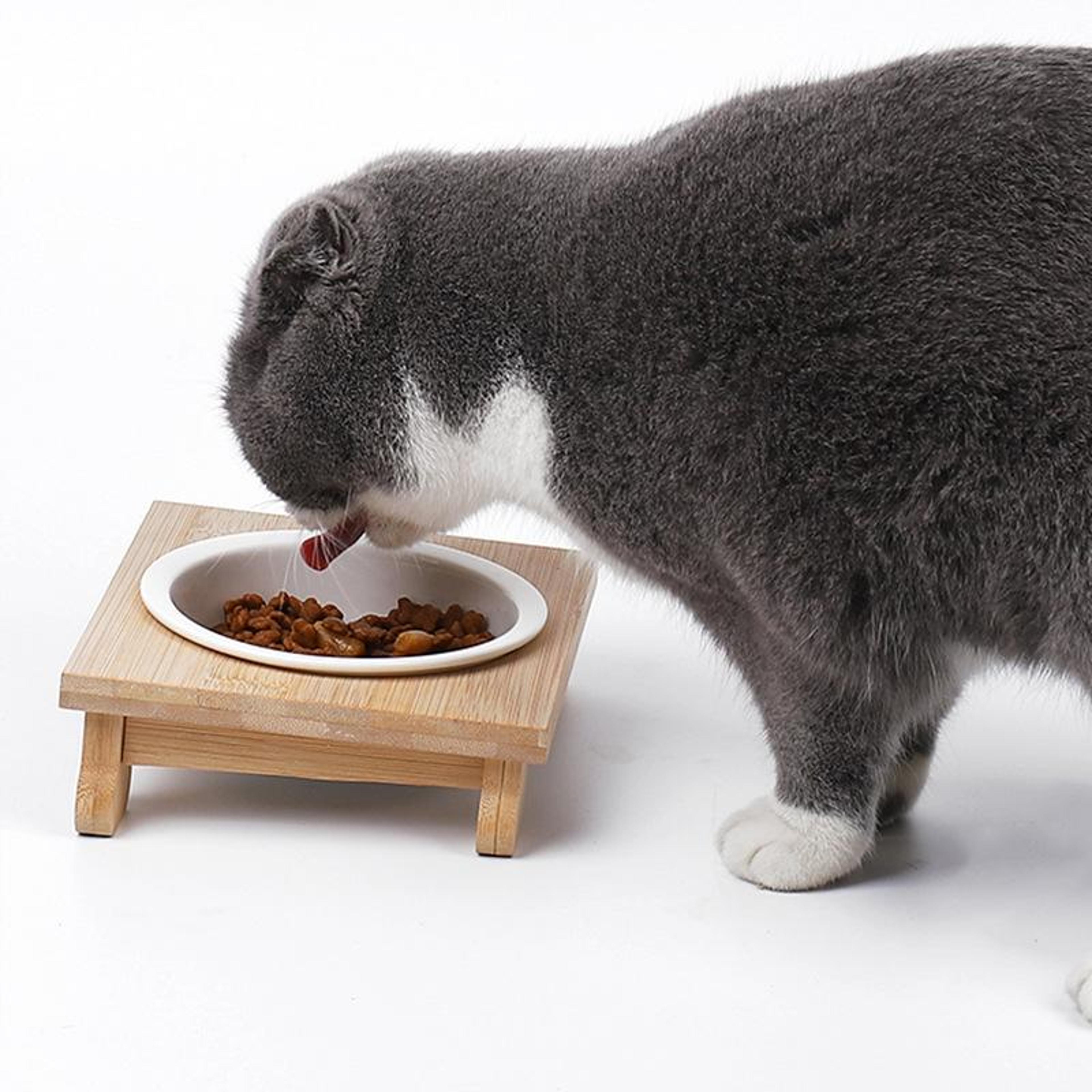 elevated ceramic cat bowl with bamboo stand  tilted cat feeding bowl for comfortable mealtimes