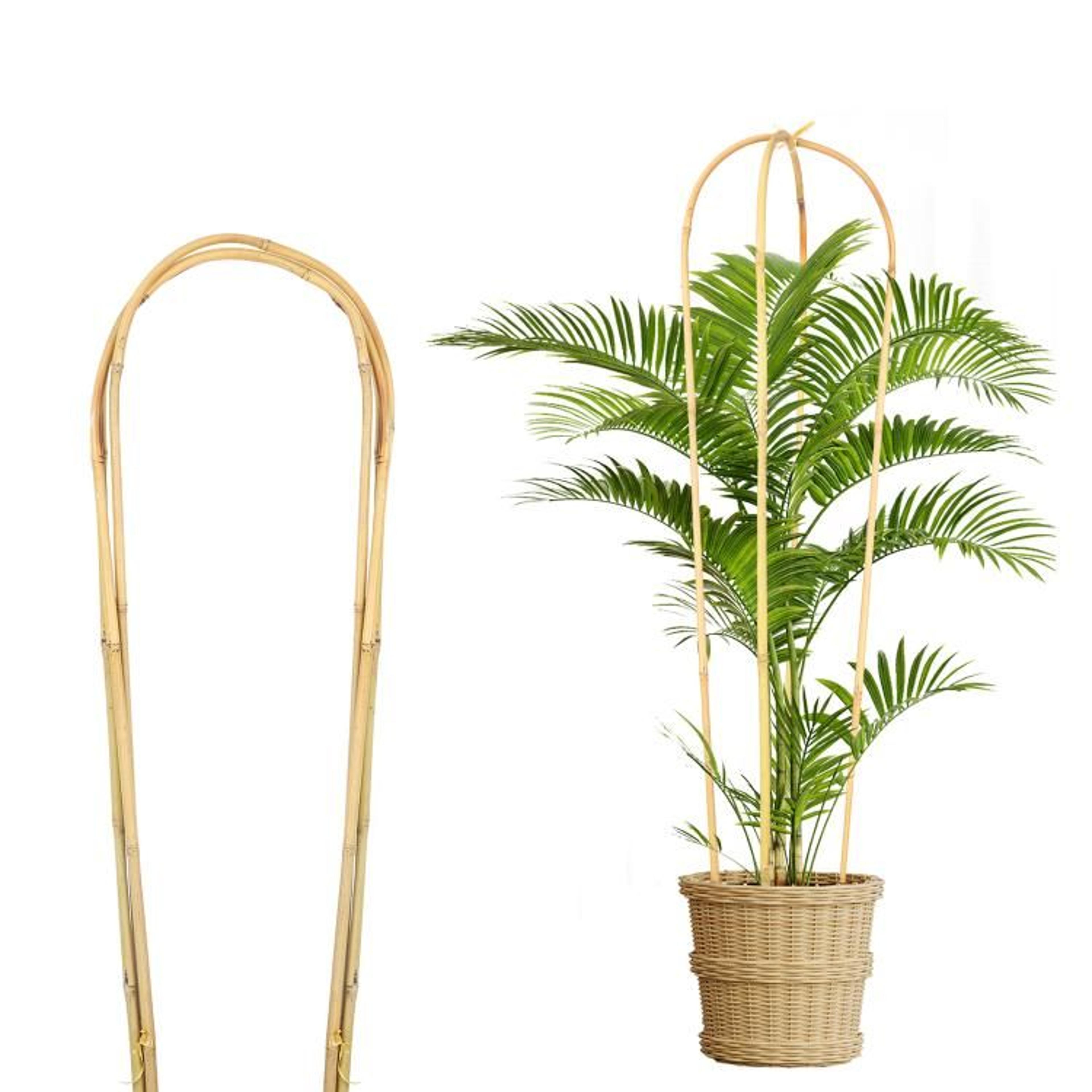 natural bamboo u-shaped garden trellis for climbing plants