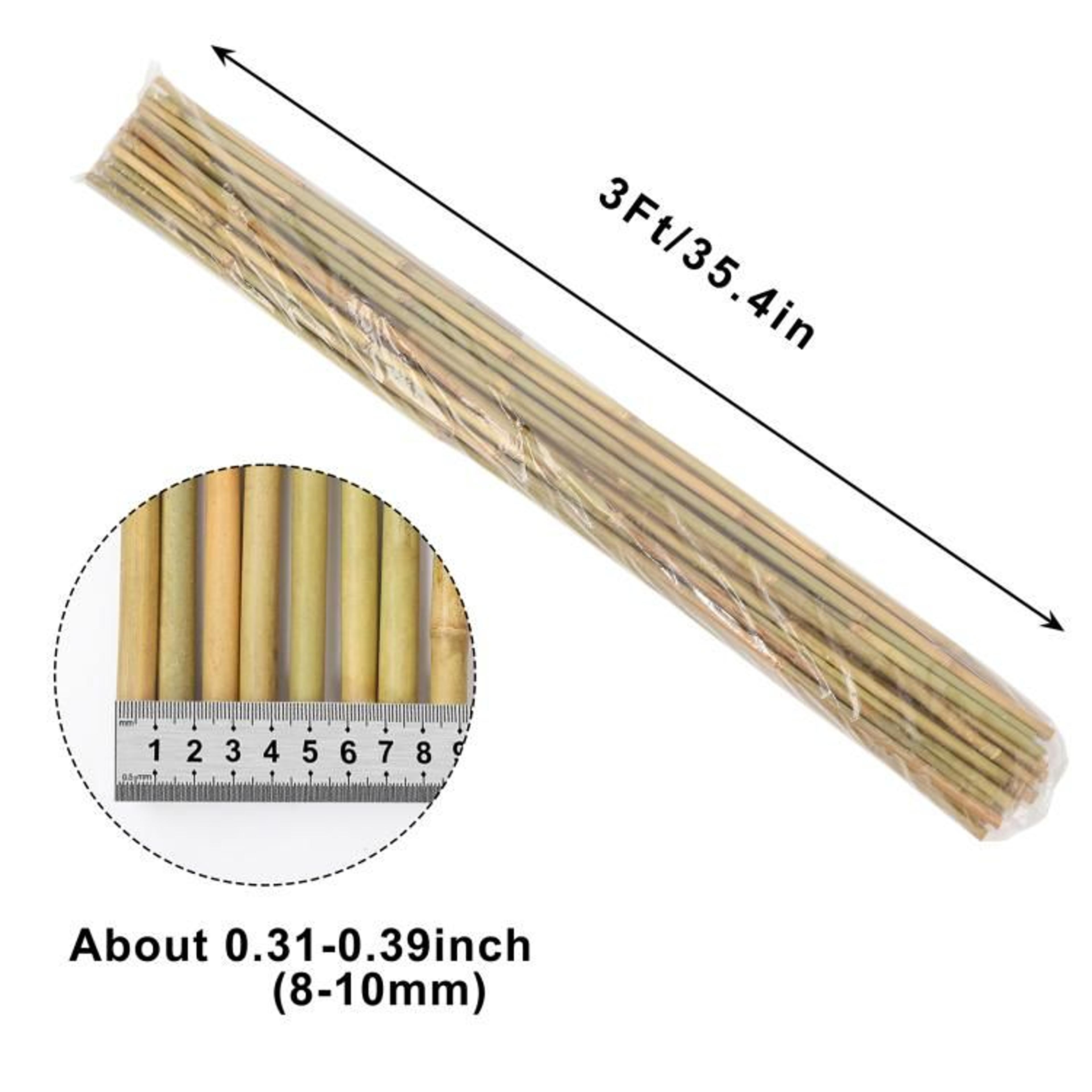 Natural Bamboo Plant Stakes 3 FT Garden Support Poles 1