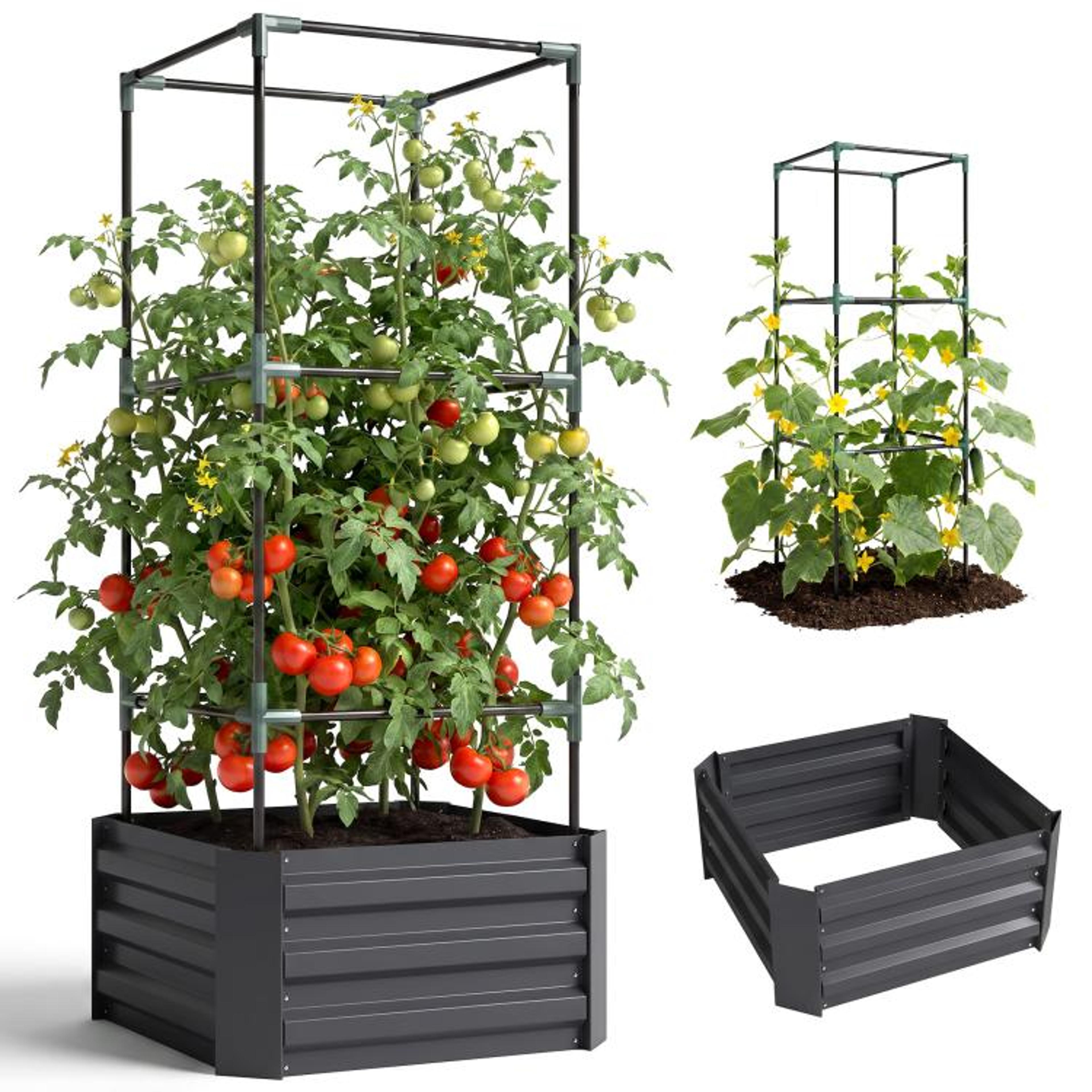 galvanized steel raised garden bed with tomato cage trellis – 24 x 24 x 55 inch