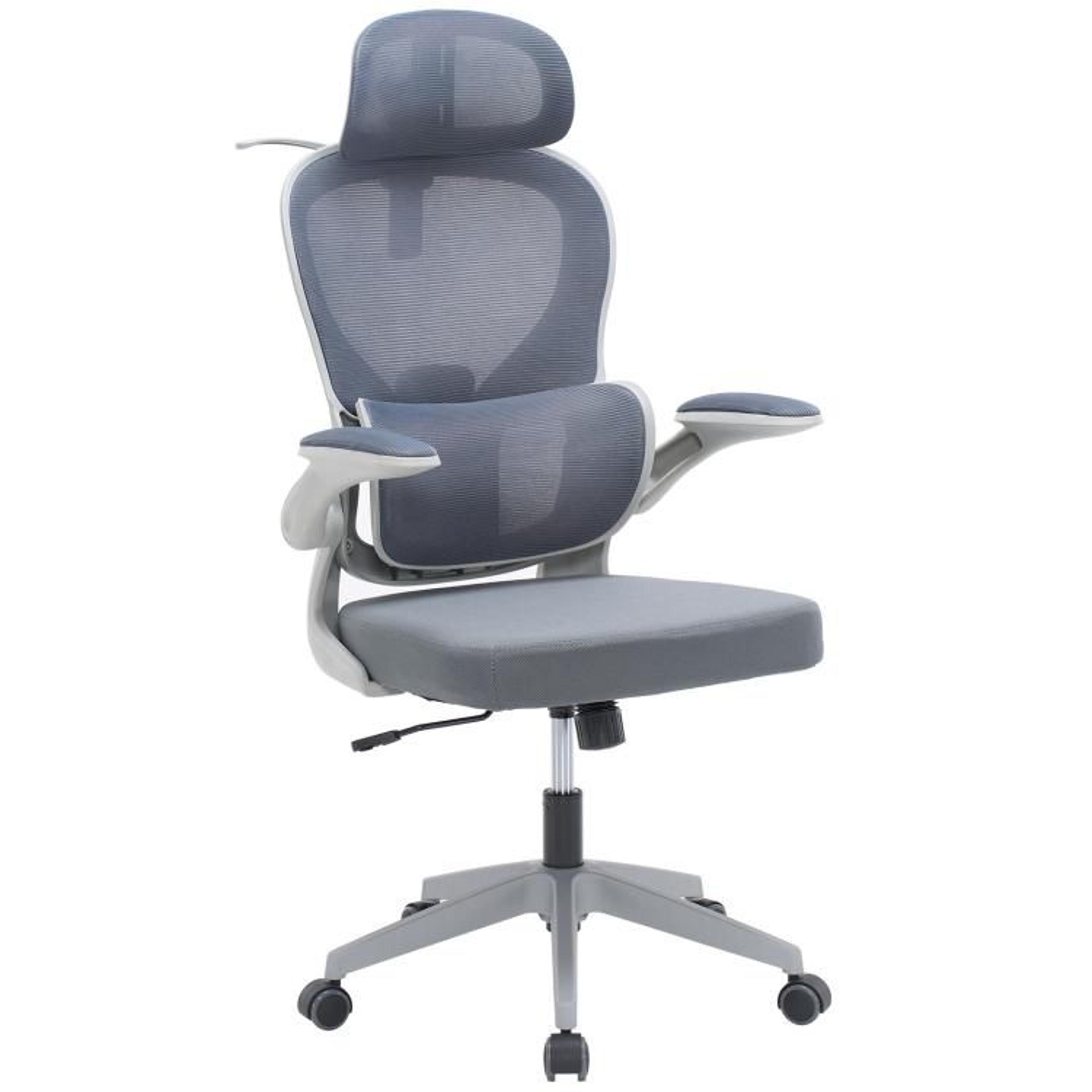 ergonomic mesh office chair with adjustable lumbar support and flip-up armrests