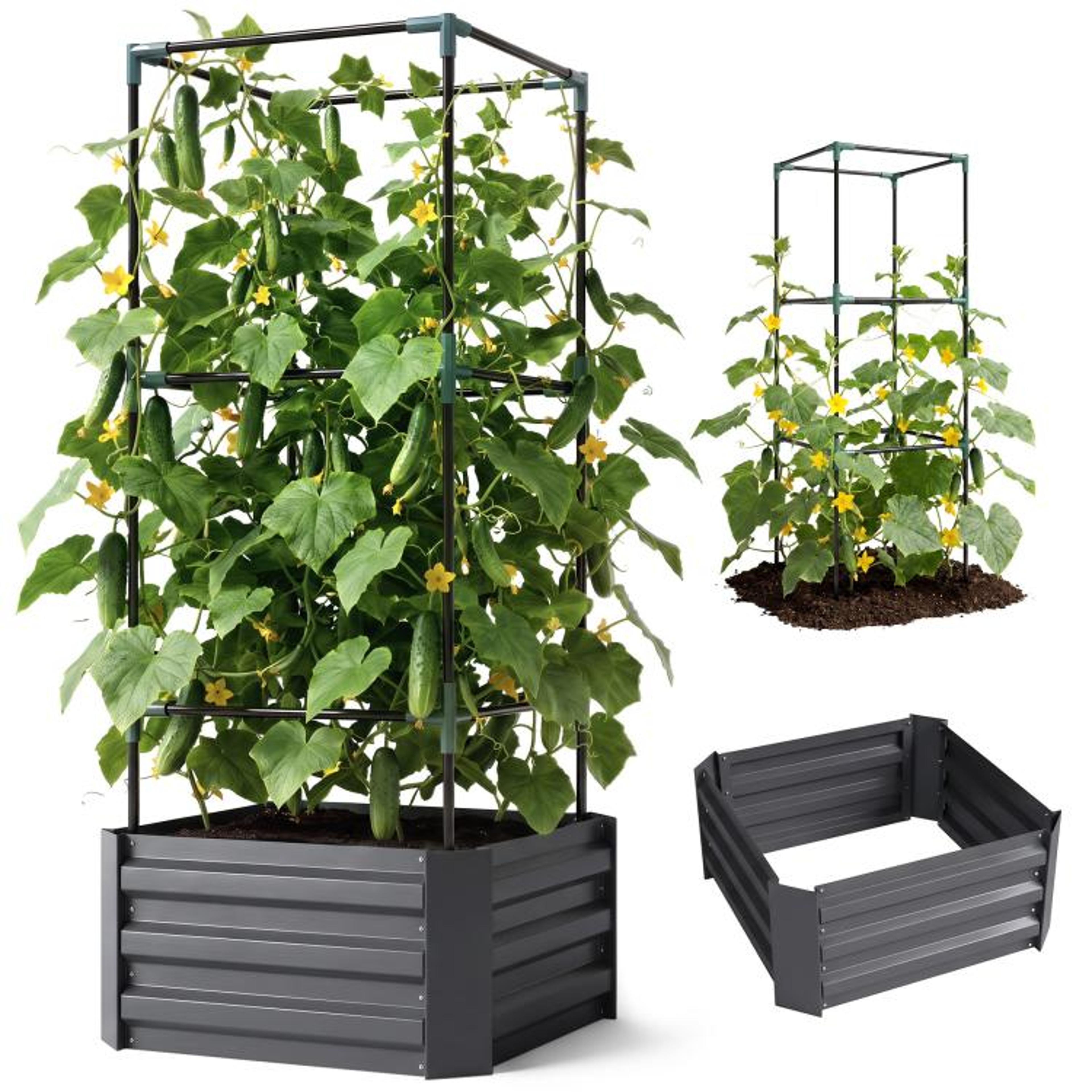 Galvanized Steel Raised Garden Bed With Adjustable Tomato Trellis  Dark Gray 1