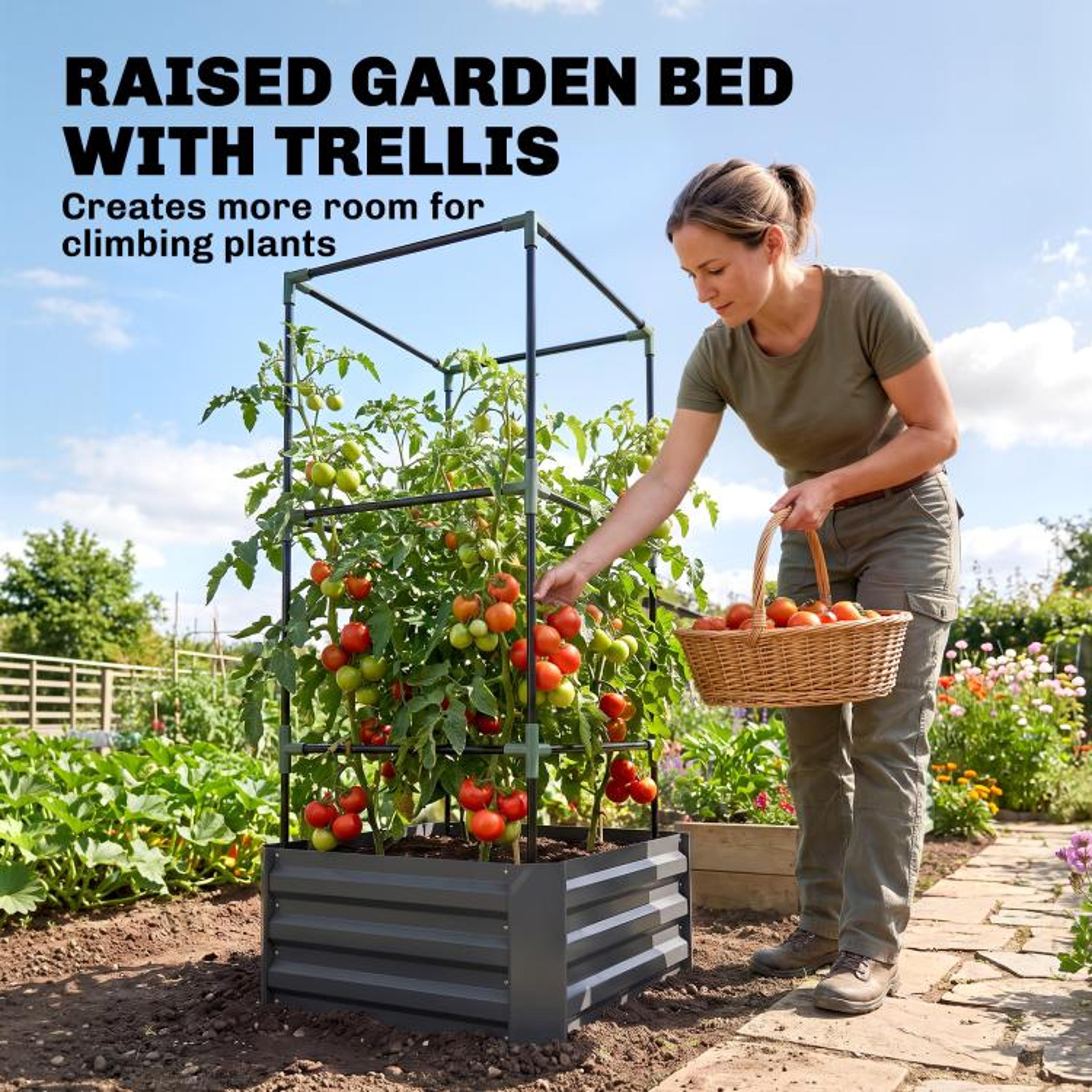 Galvanized Steel Raised Garden Bed With Adjustable Tomato Trellis  Dark Gray 4