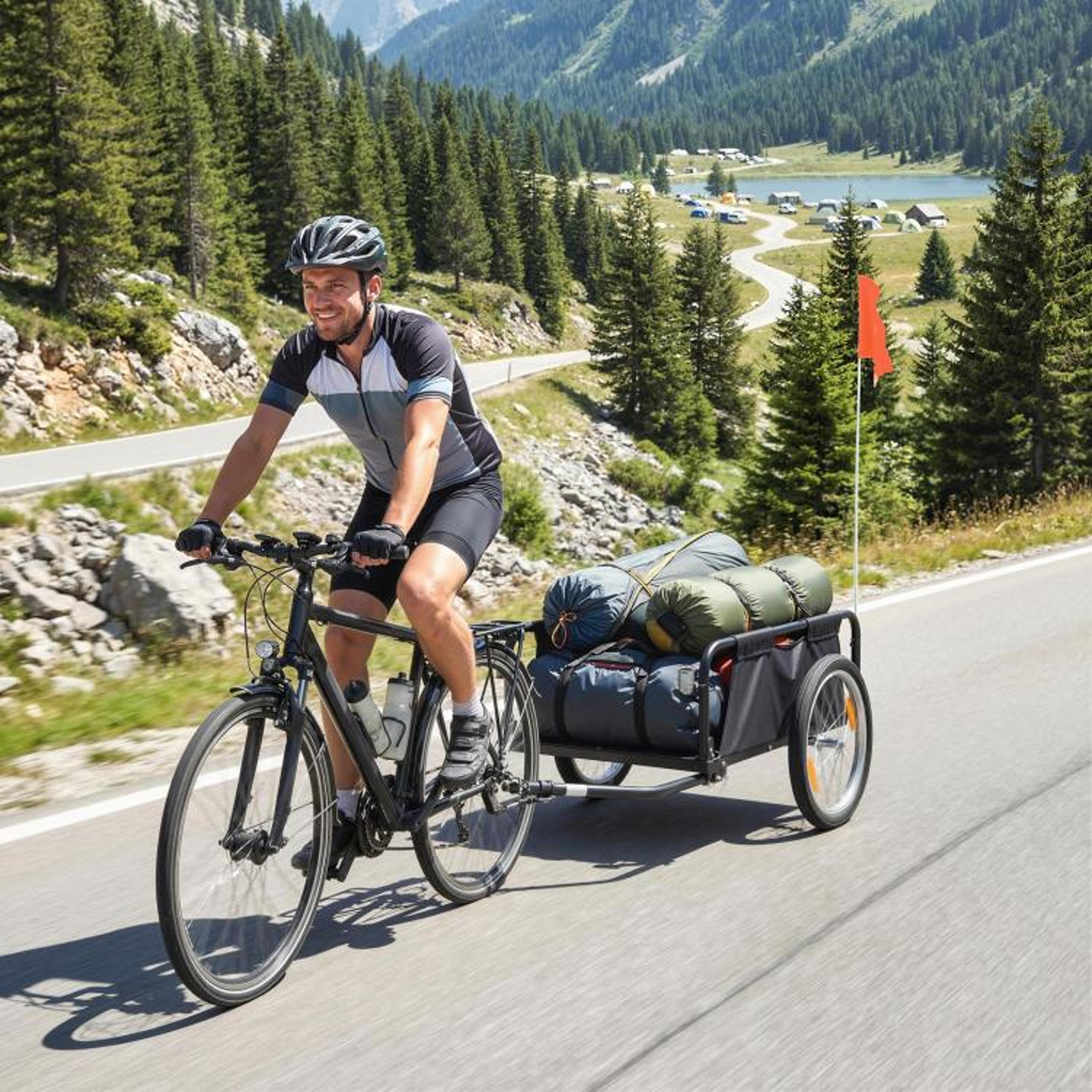 Bike Cargo Trailer With 16Inch Pneumatic Wheels And QuickRelease Design 2