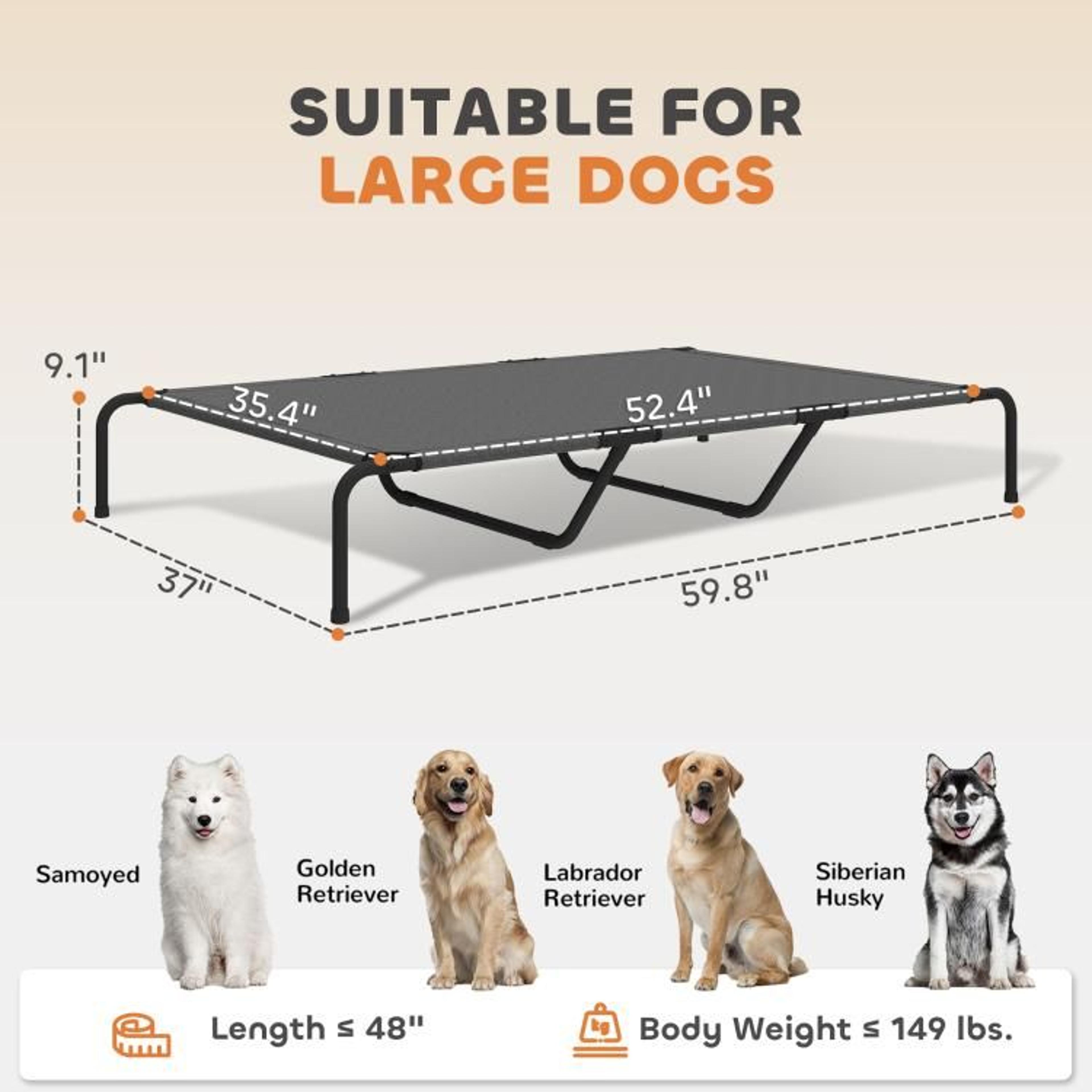 Elevated Dog Bed For Large Breeds With Breathable Mesh Gray 4