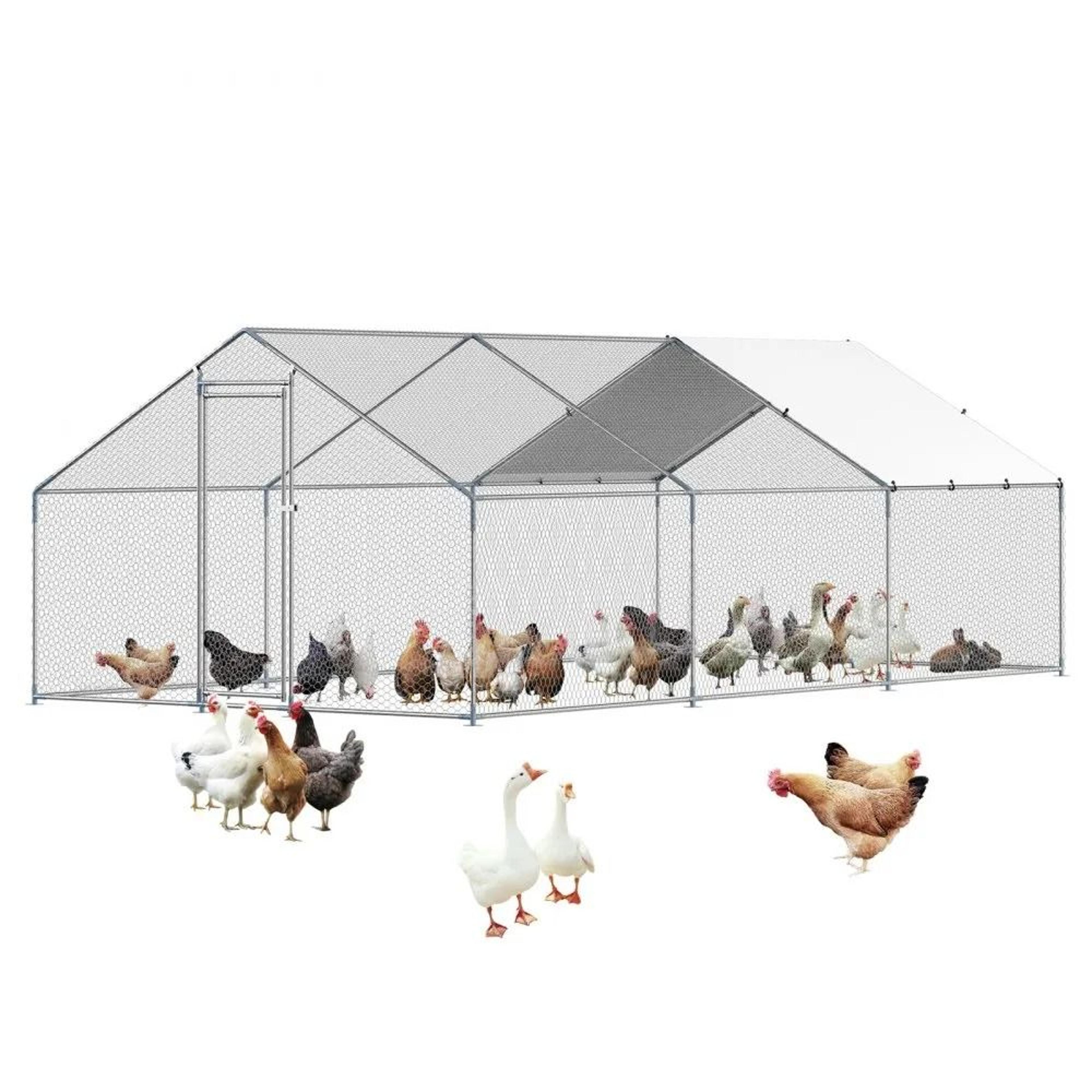metal chicken coop, walk-in chicken run with cover, spire roof hen house enclosure, outdoor duck rabbit cage, backyard