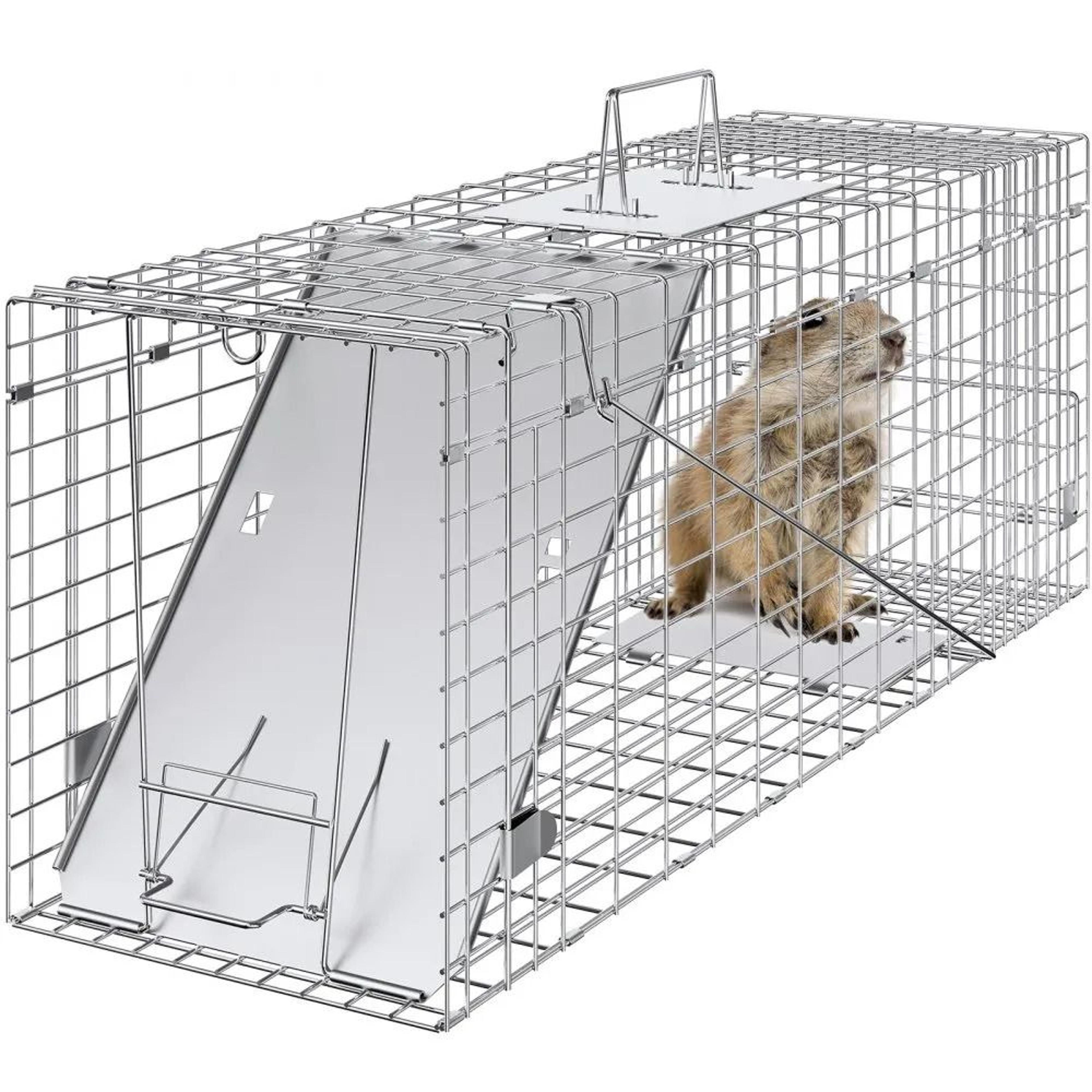 31 inch humane live animal trap with folding galvanized cage and handle