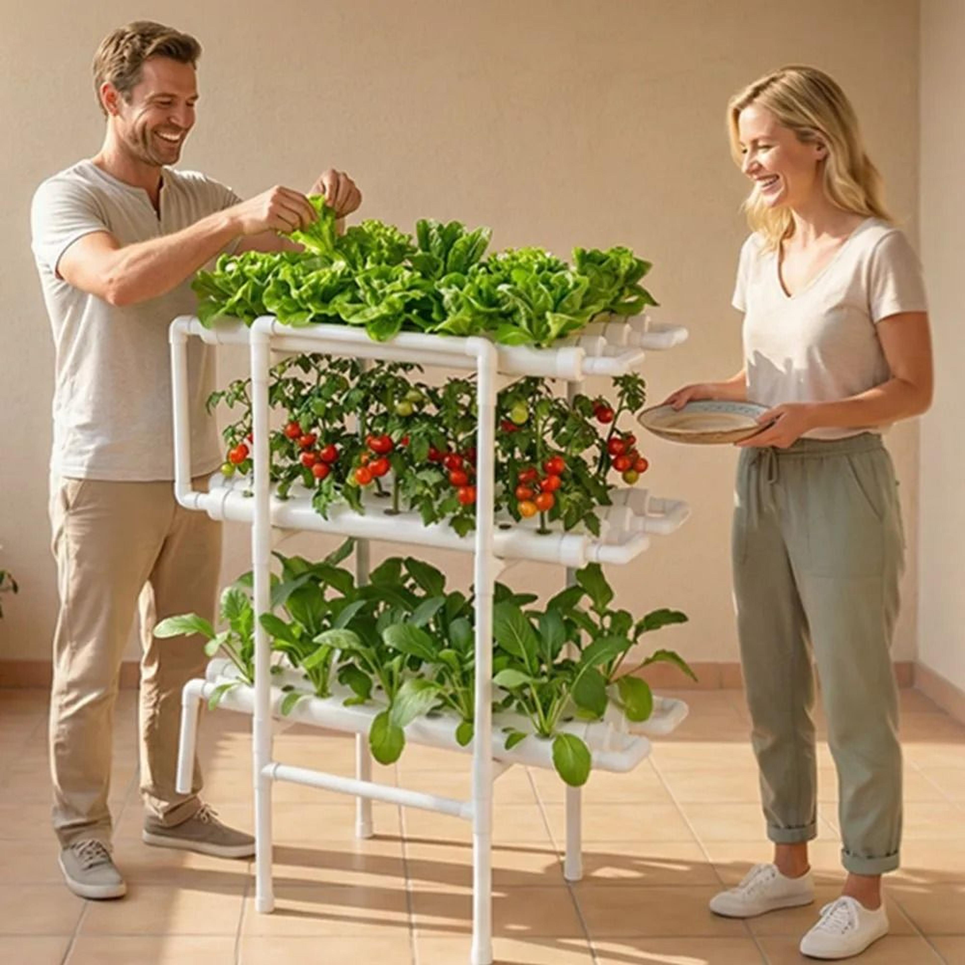 108Site Vertical Hydroponic Growing System With Timed Irrigation 5