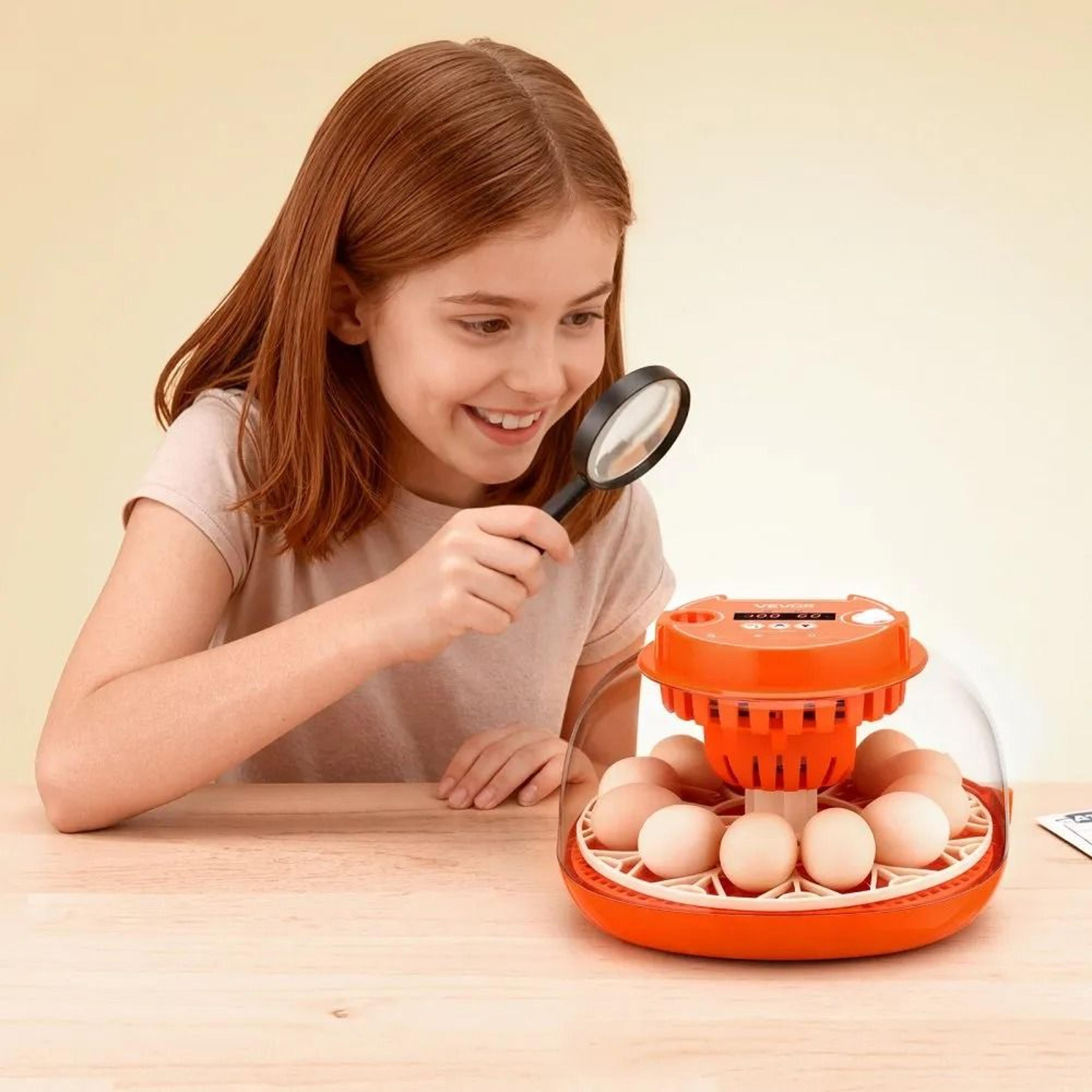 12 Egg Incubator With Automatic Turner And LED Candler 6