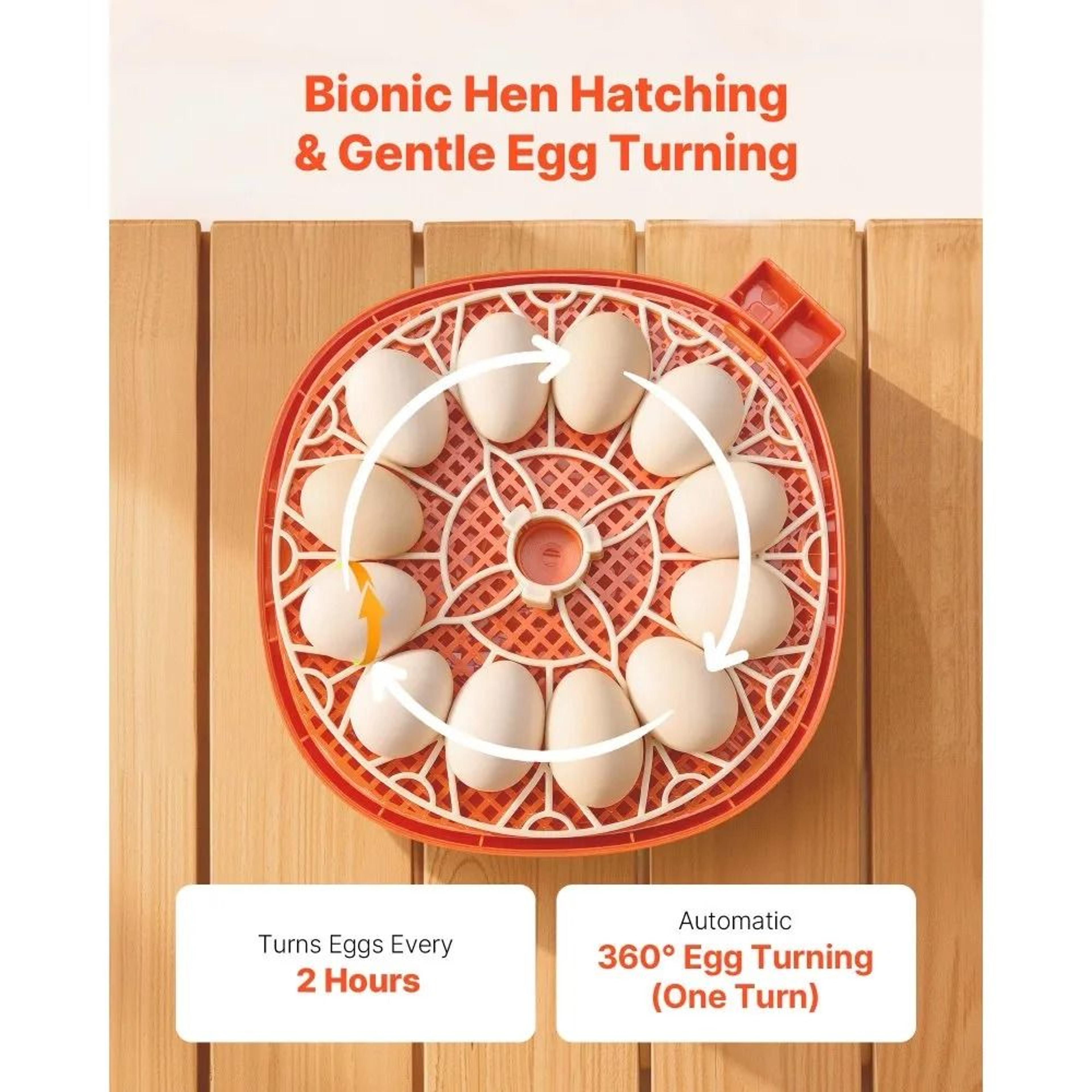 12 Egg Incubator With Automatic Turner And LED Candler 4