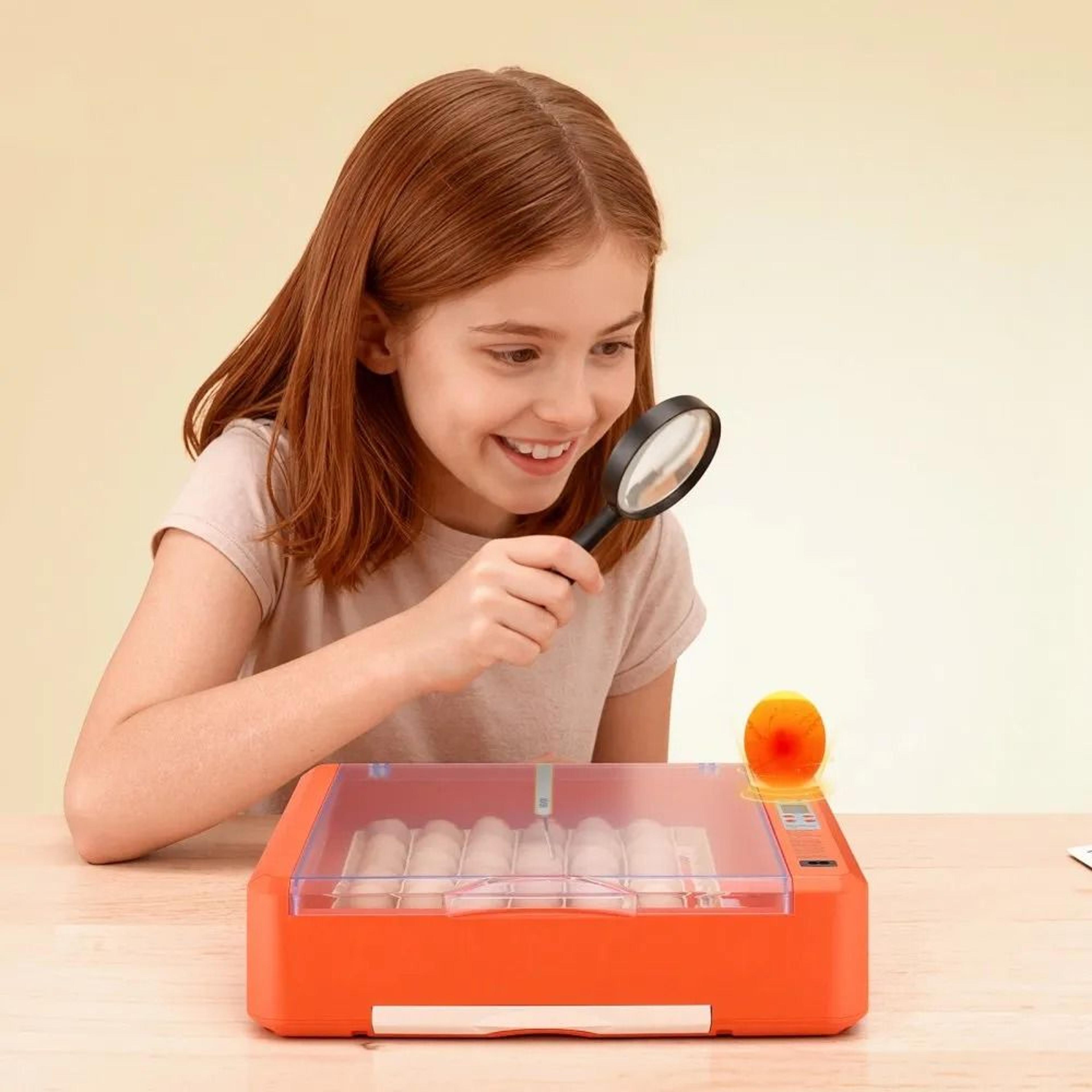 Smart 36 Egg Incubator With Automatic Turner And LED Candler 6