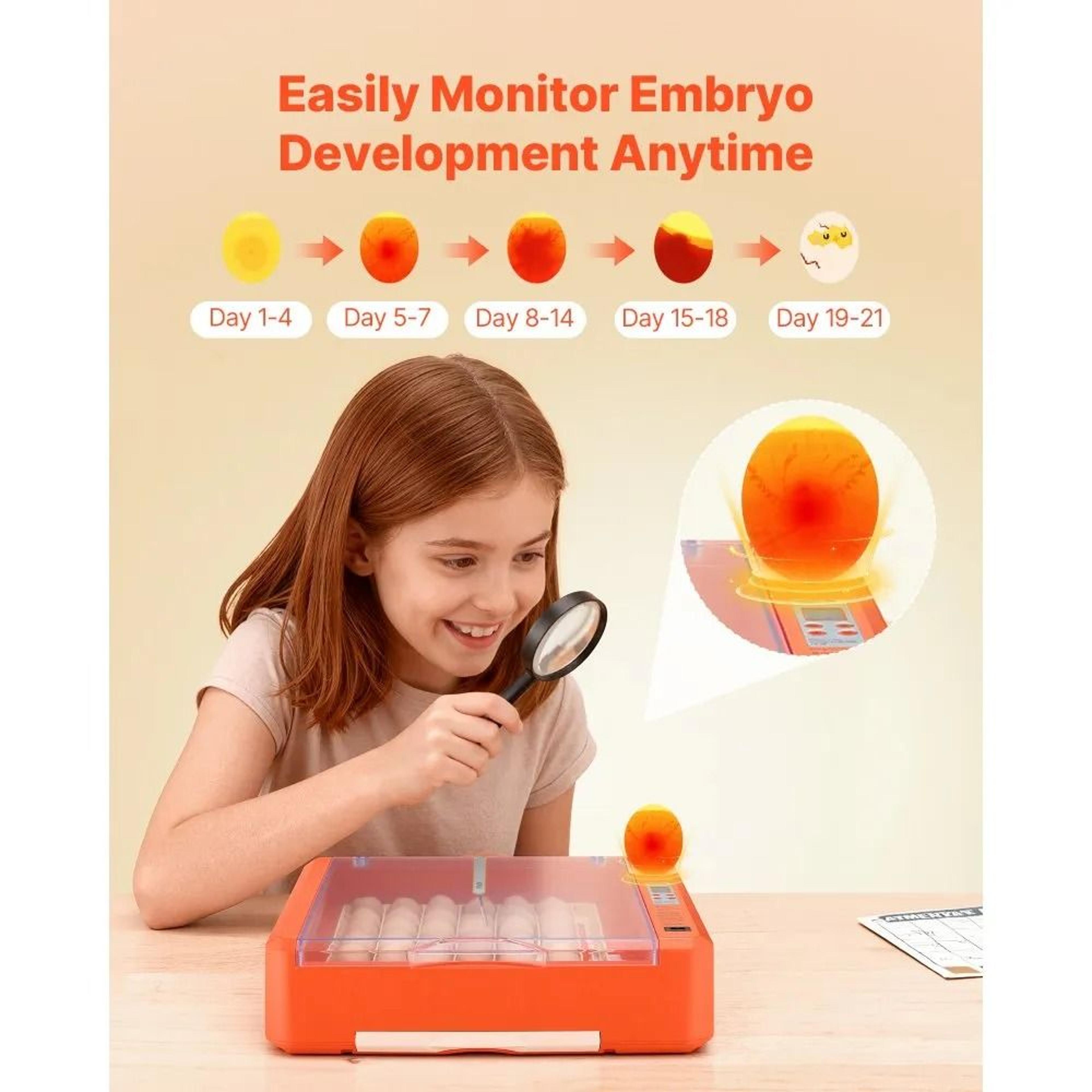 Smart 36 Egg Incubator With Automatic Turner And LED Candler 3