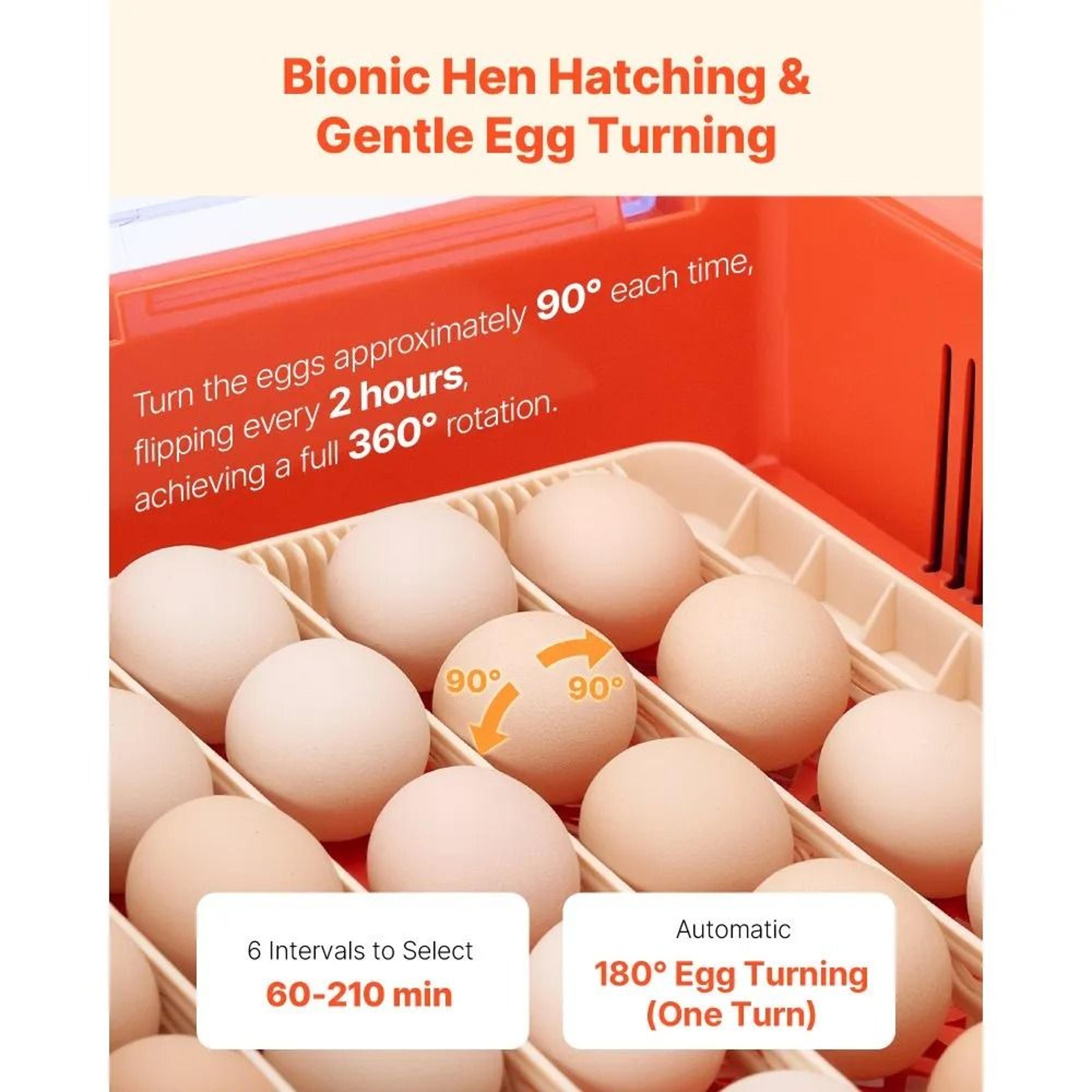 Smart 36 Egg Incubator With Automatic Turner And LED Candler 4