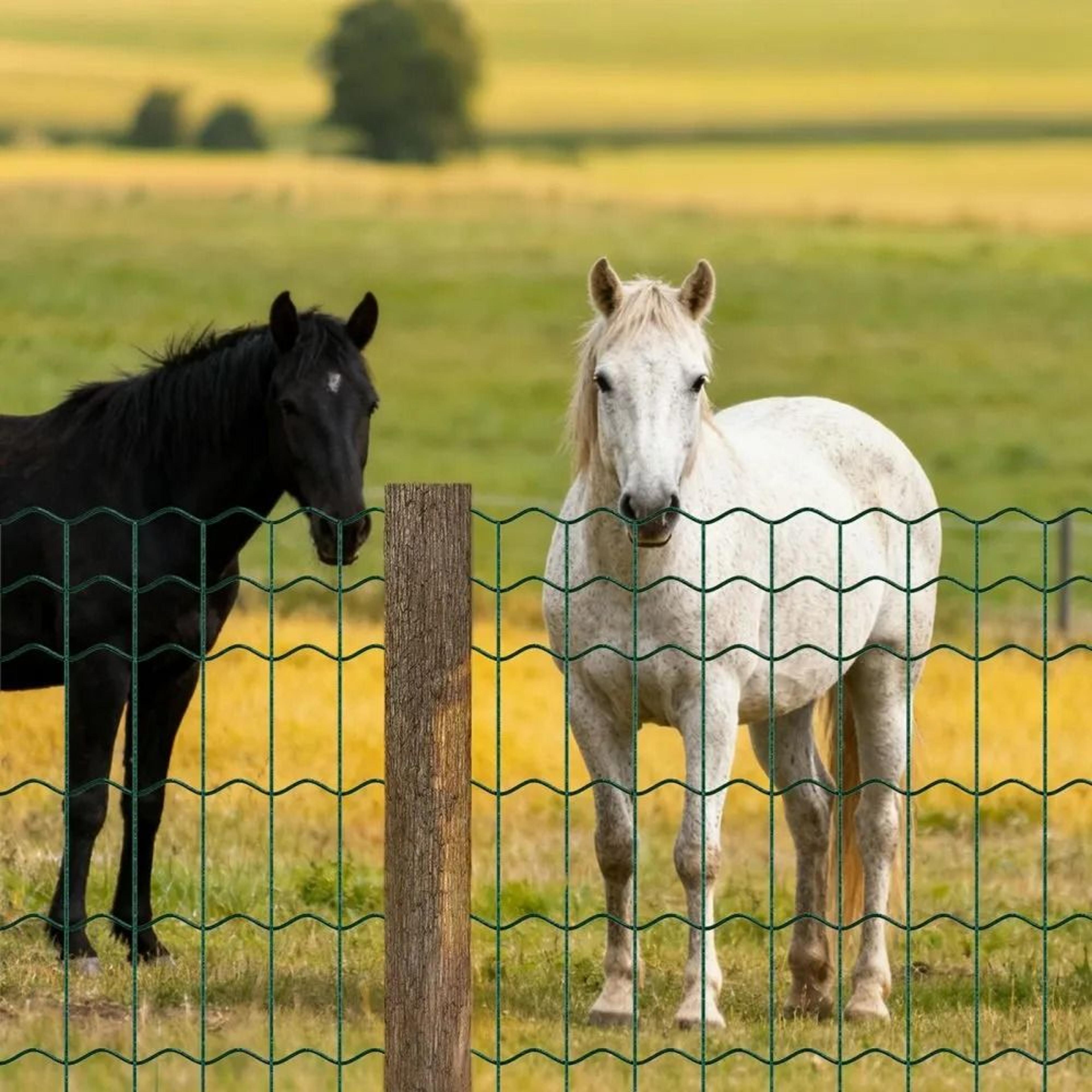 Farm Fence 39 X 984 In Welded Wire Fence With 2 X 4 In Mesh For Livestock And Gardens 6