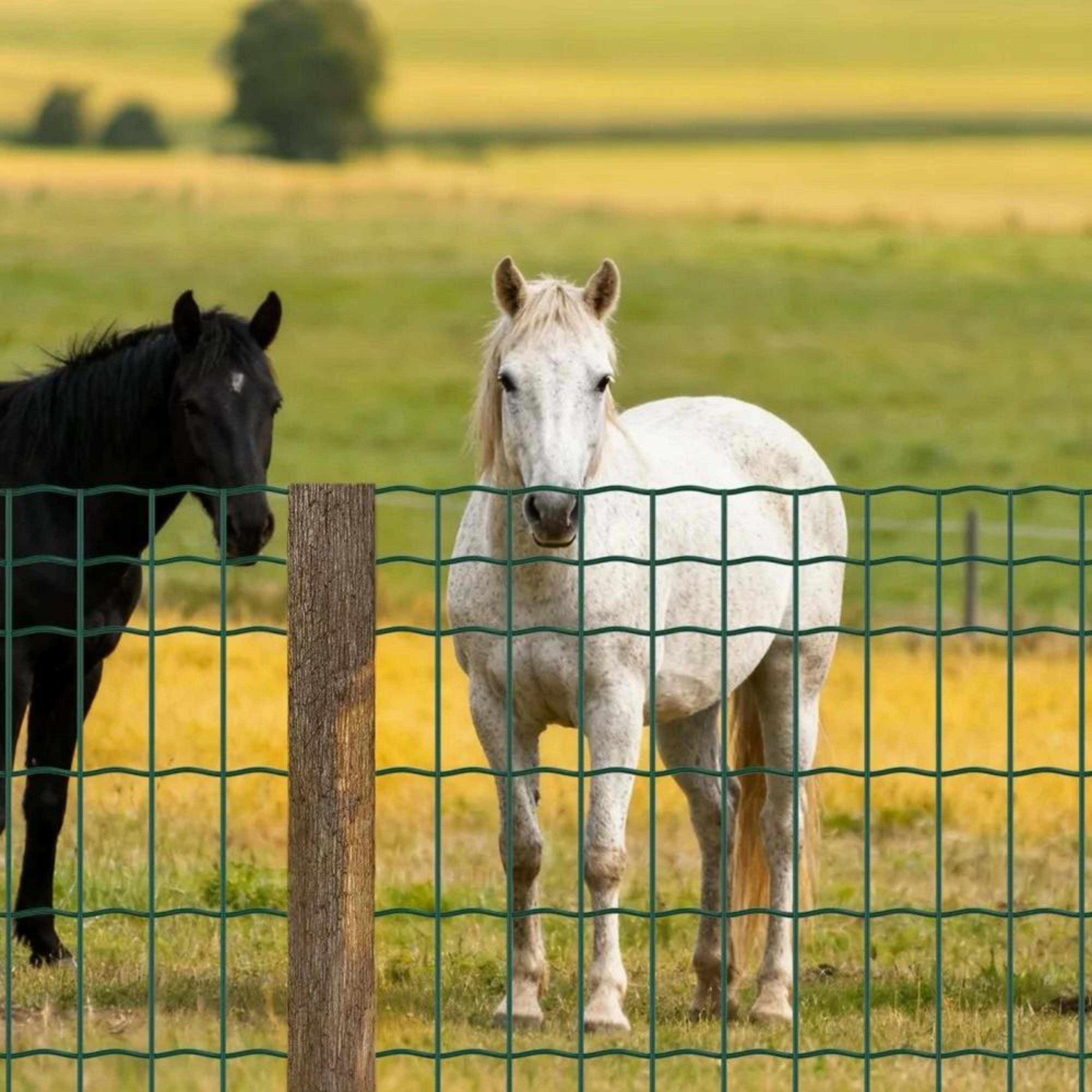 Heavy Duty Farm Fence 39 In X 656 Ft Vinyl Coated Welded Wire Fence For Livestock And Gardens 6