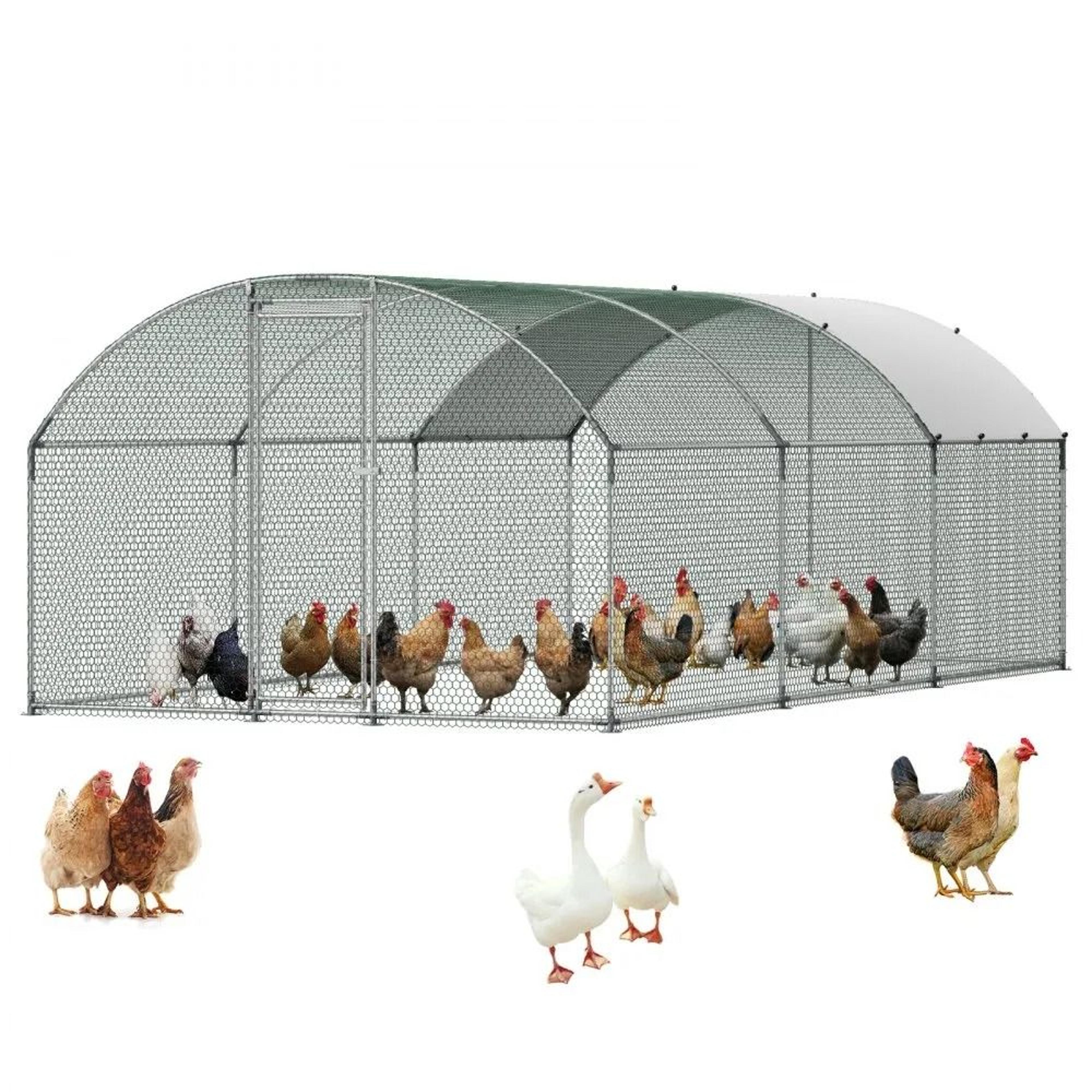 metal chicken coop 9.8 x 19.7 ft walk in poultry run with waterproof cover