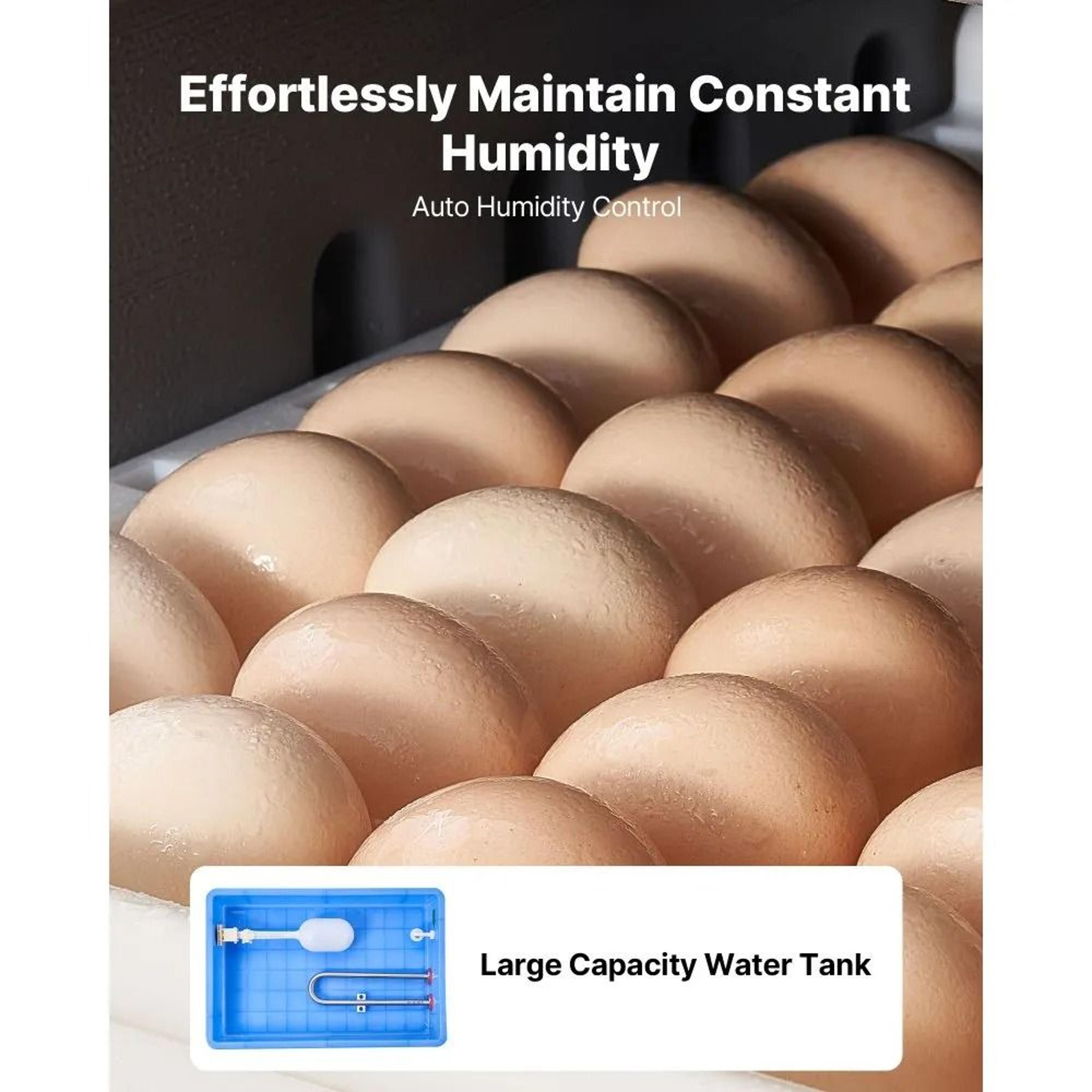 400 Egg Incubator Cabinet With Automatic Turning Temperature And Humidity Control 3
