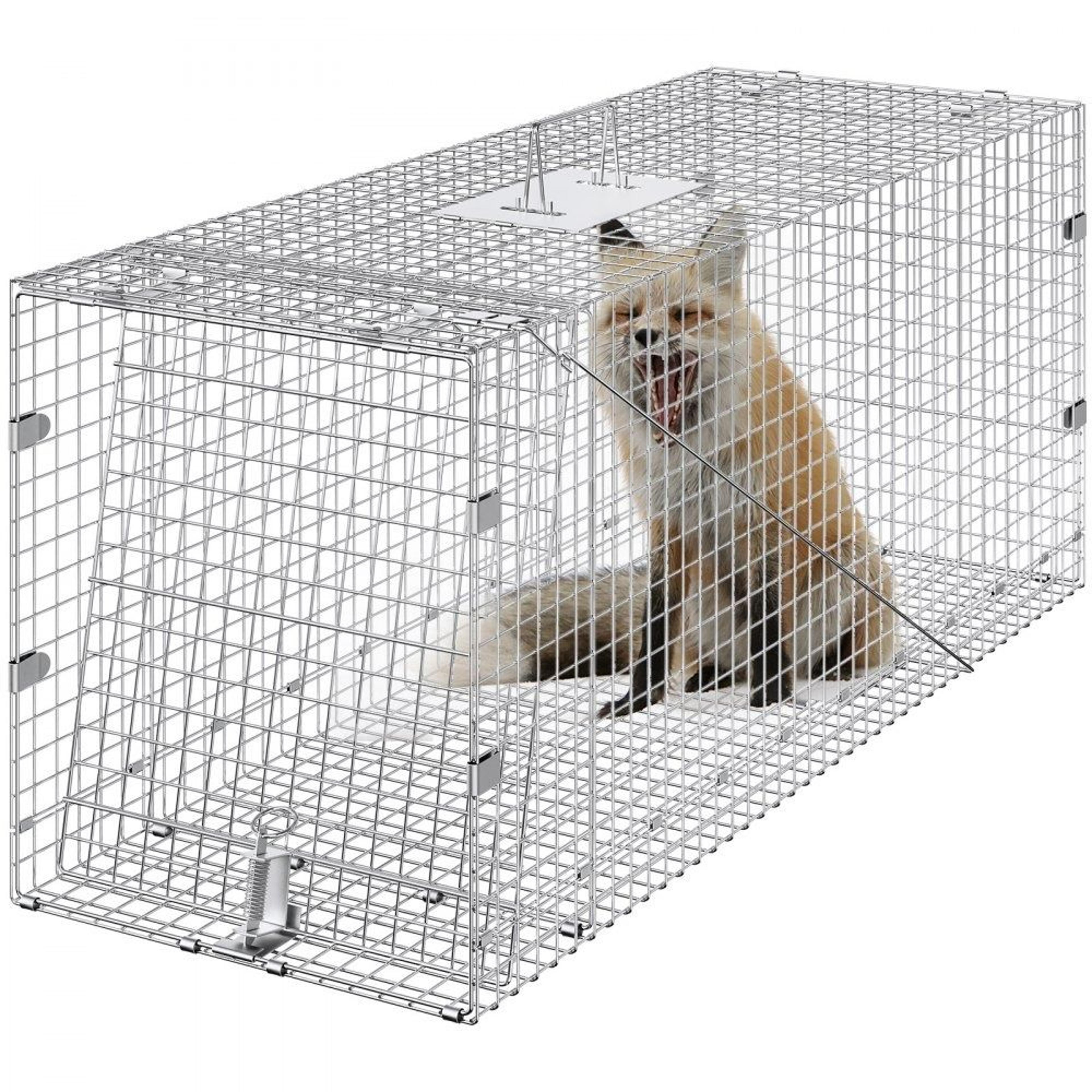 humane live animal cage trap galvanized folding trap with carry handle