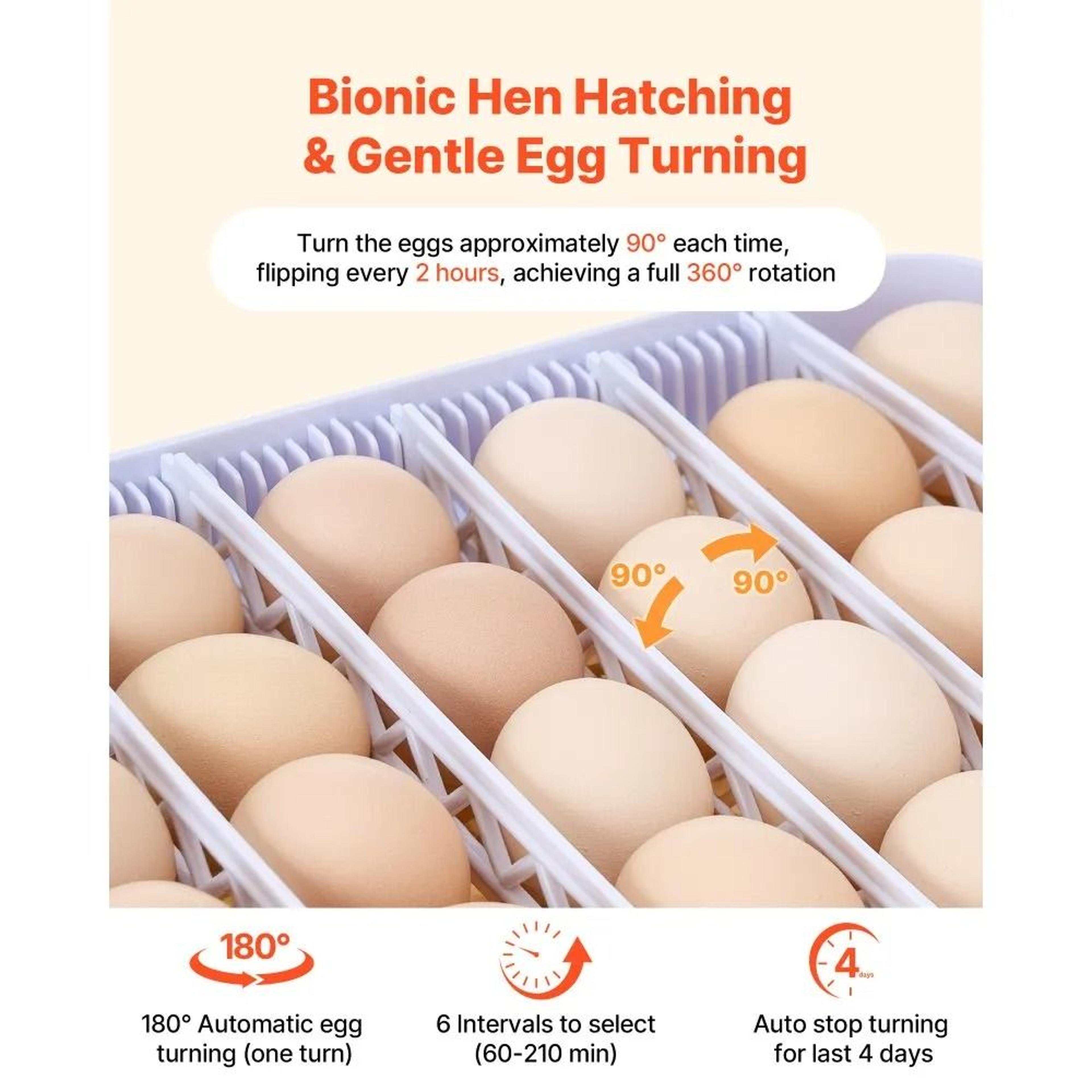 48 Egg Incubator With Automatic Egg Turner Humidity Control And LED Candler 5
