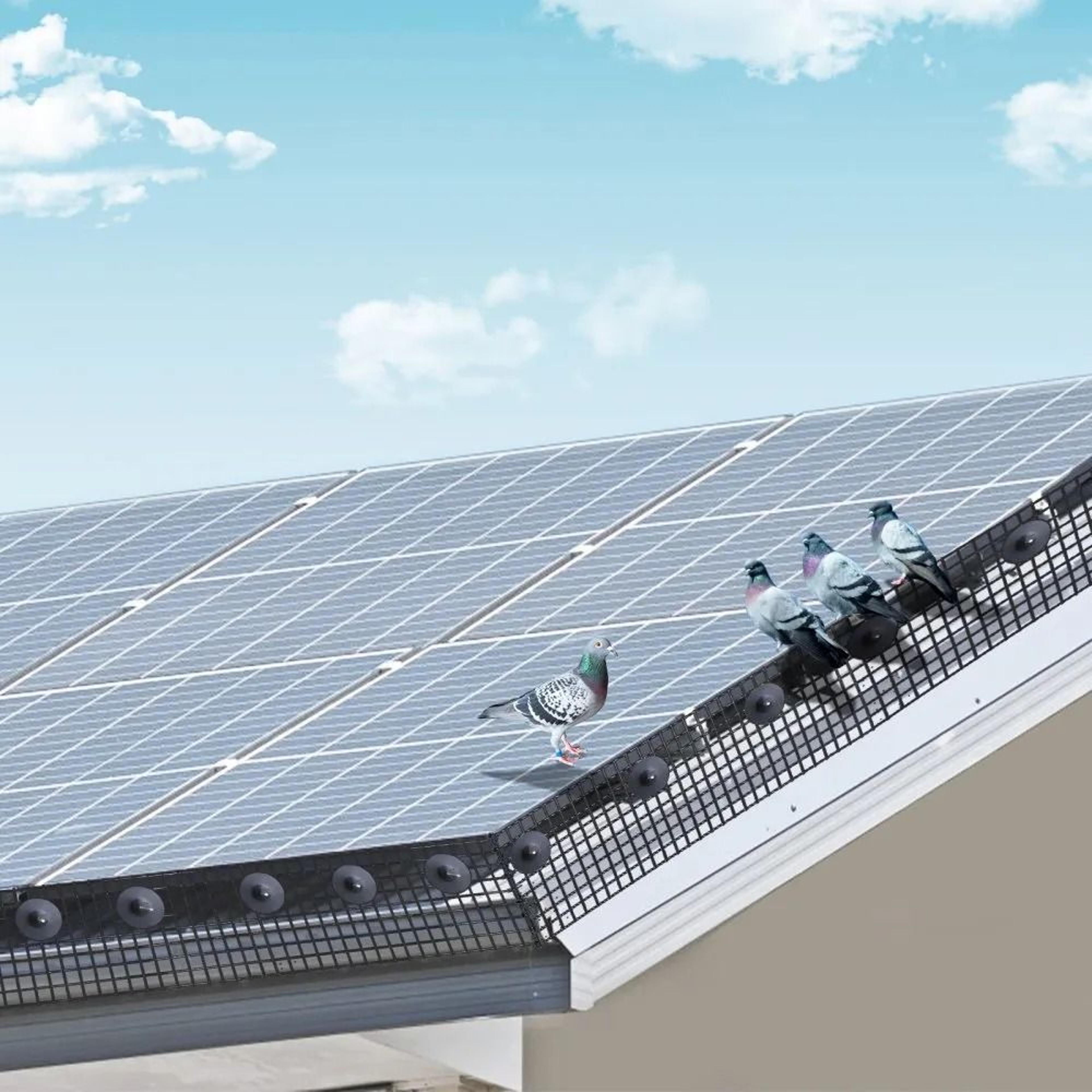 6 Inch X 100 Ft Solar Panel Bird Guard Critter Guard PVC Coated Wire Mesh Kit 6