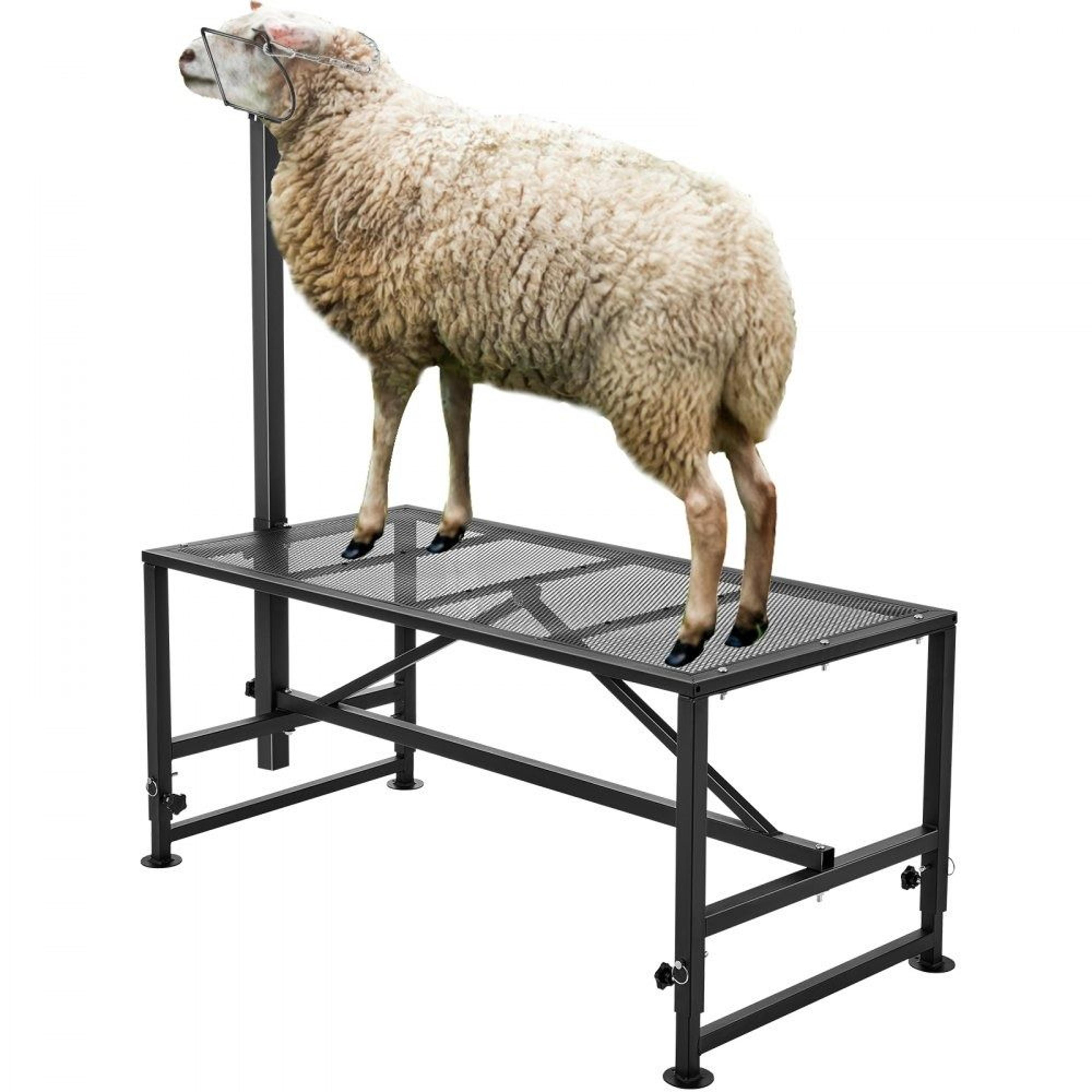 adjustable goat milking stand heavy duty livestock grooming and sheep shearing stand