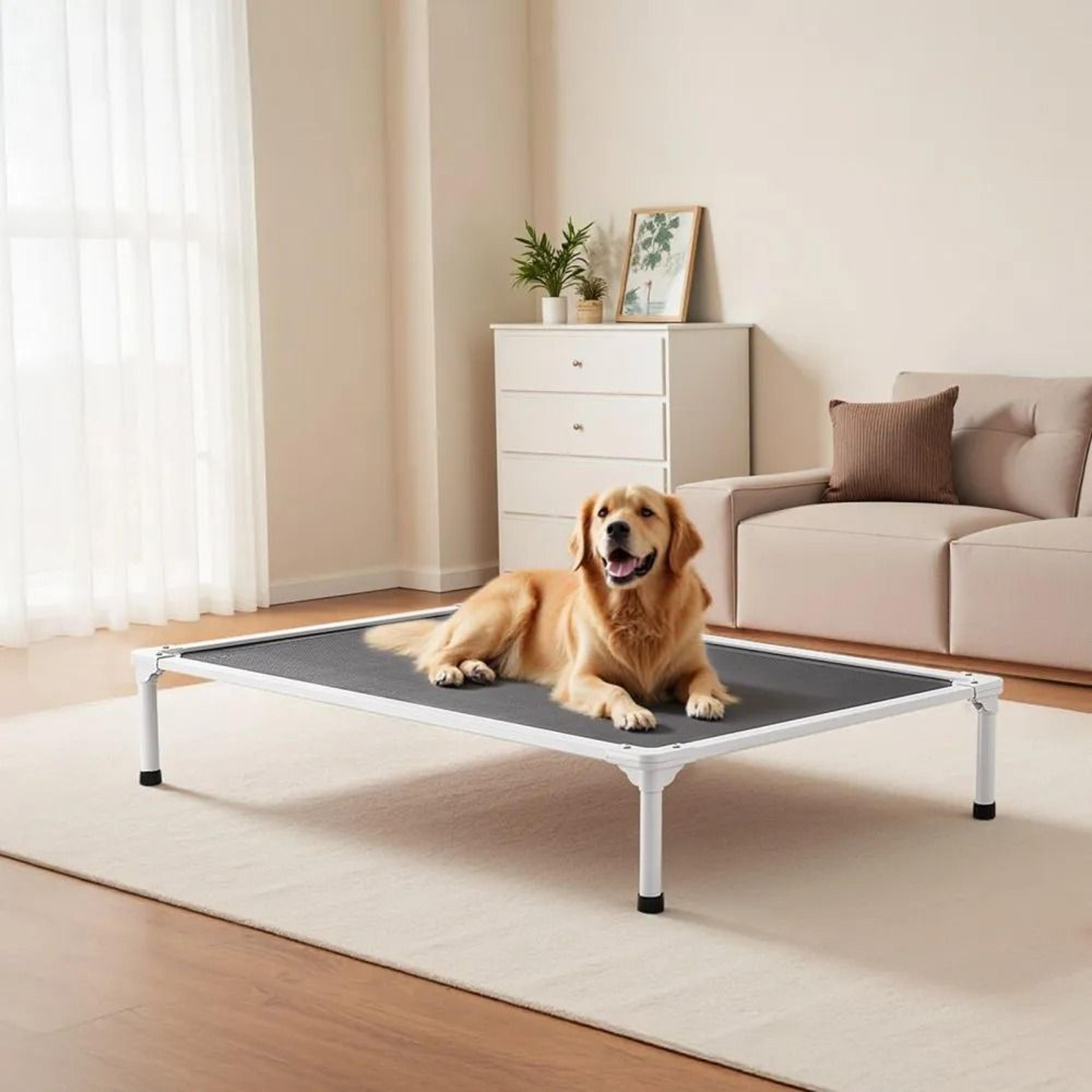XL Elevated Dog Bed With Breathable Mesh Aluminum Frame And Portable Raised Dog Cot 6
