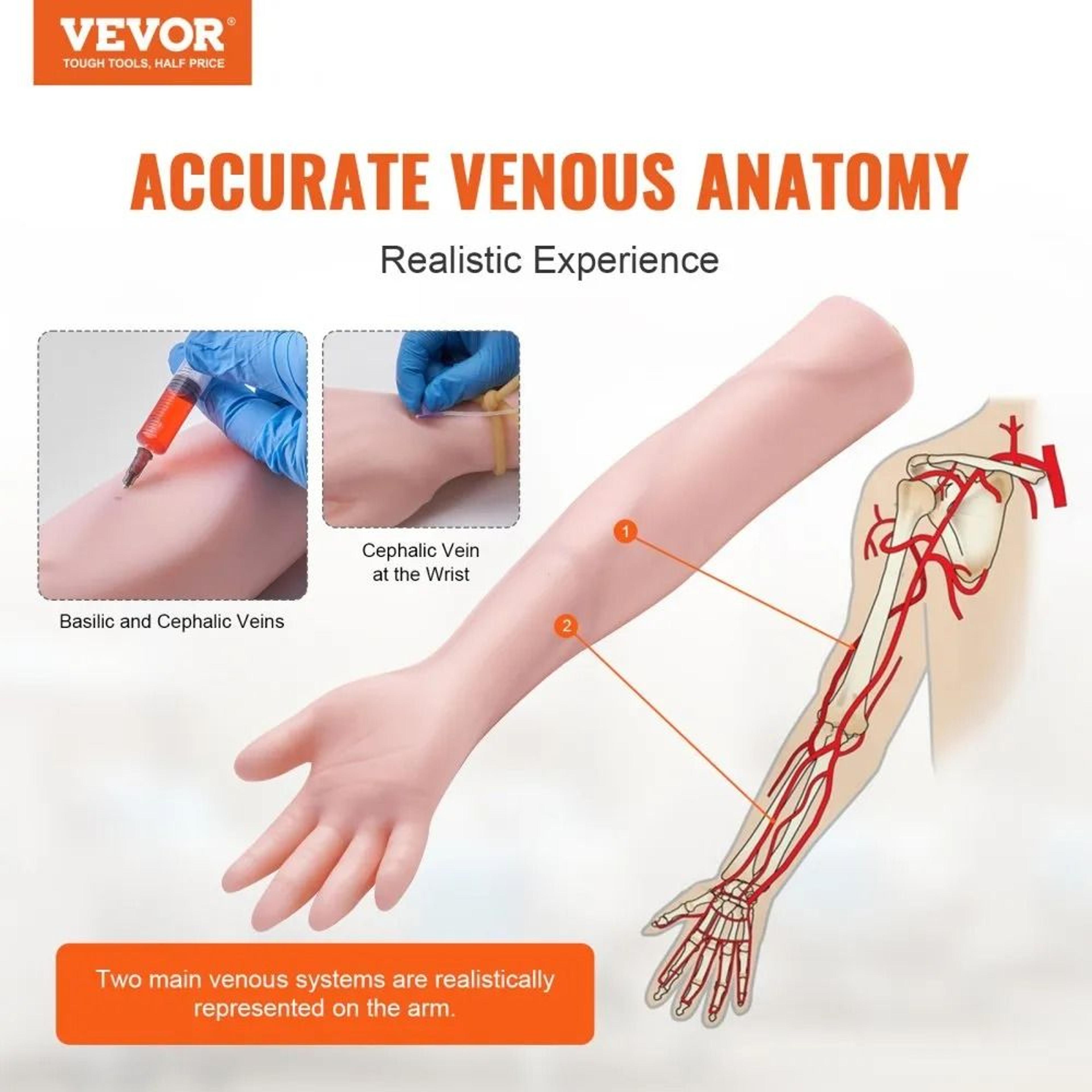 IV Practice Arm Phlebotomy Training Kit For Venipuncture And Blood Draw Practice 3