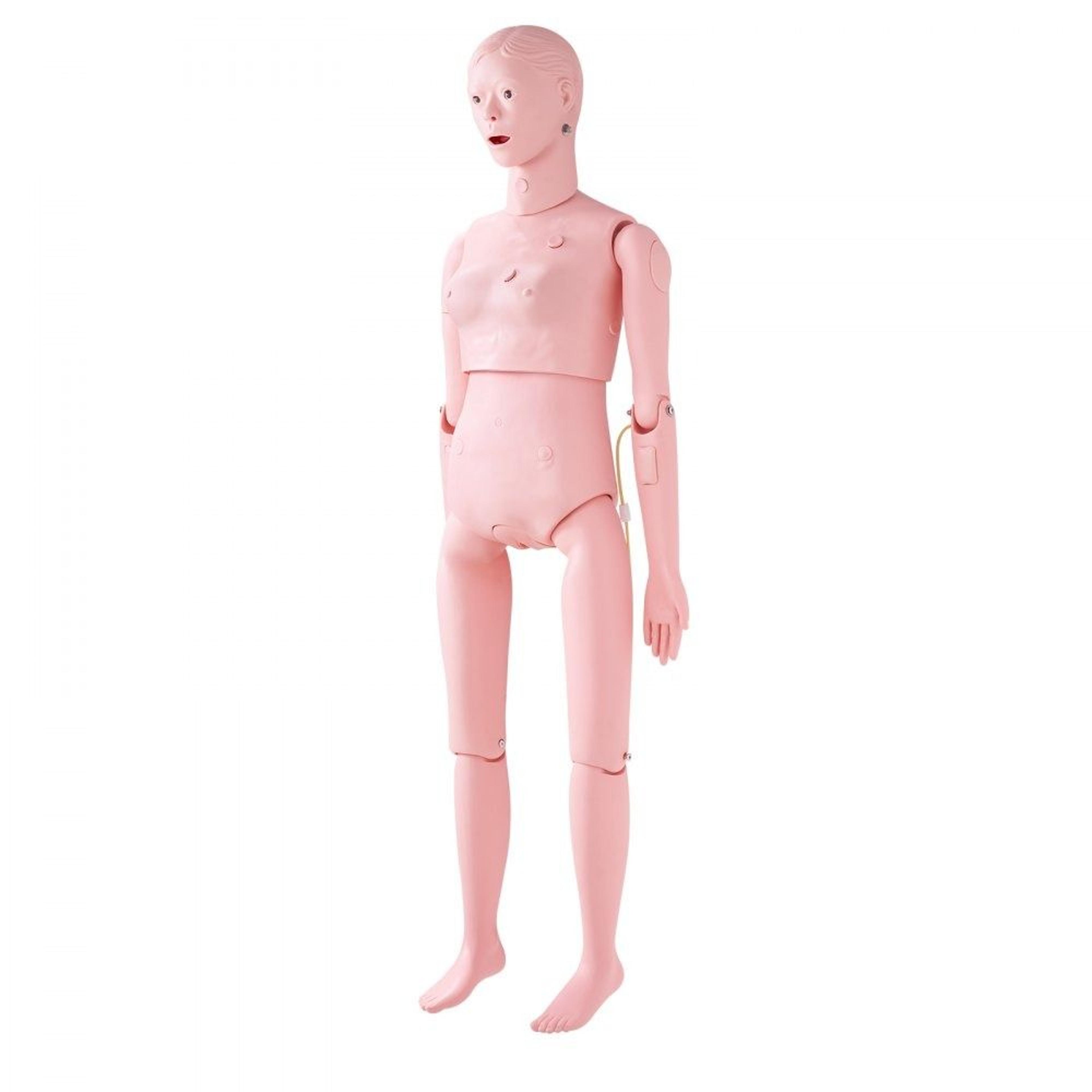 Female Life Size Nursing Training Manikin Patient Care Simulation Model 7
