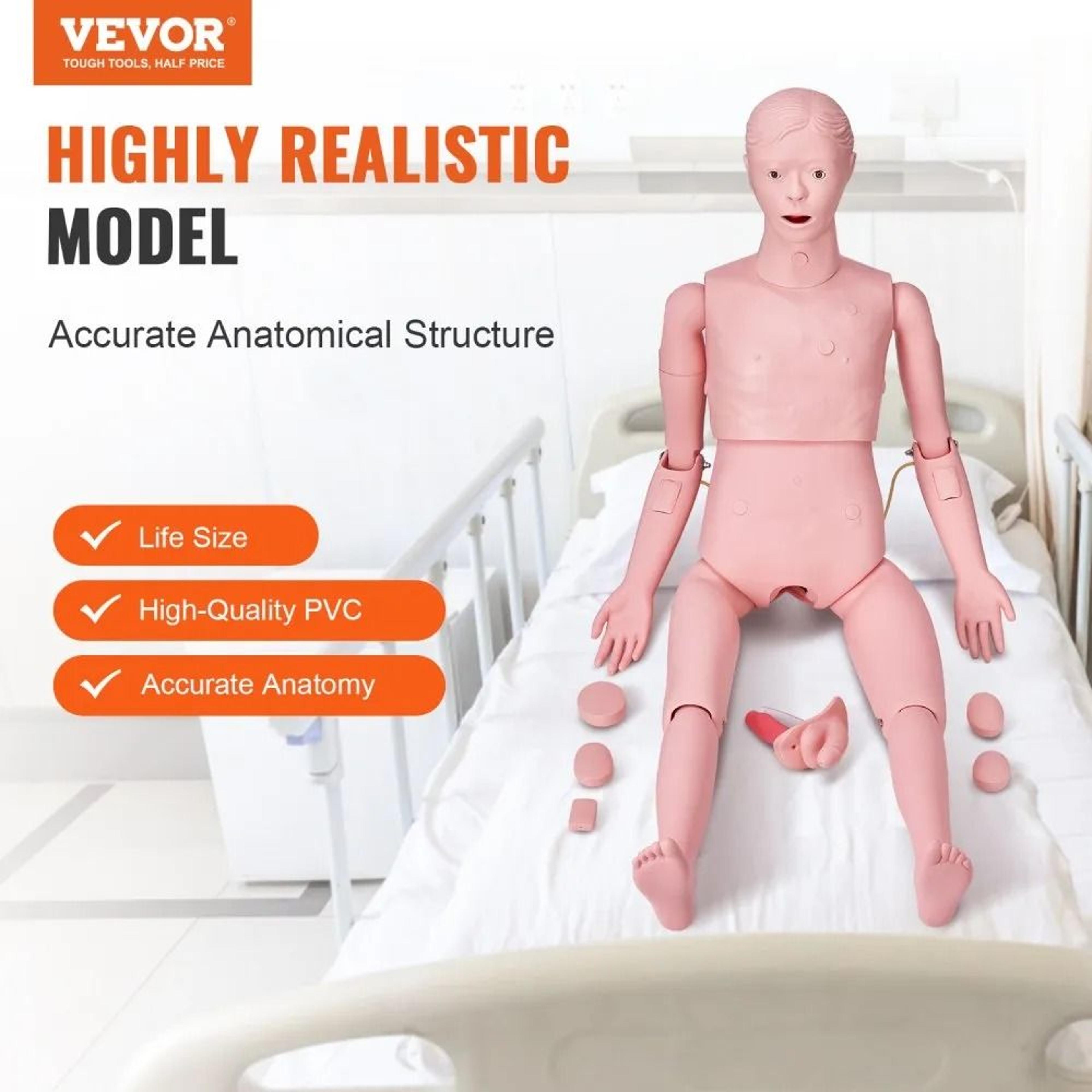 Life Size Nursing Training Manikin Male Patient Care Medical Simulation Model 3