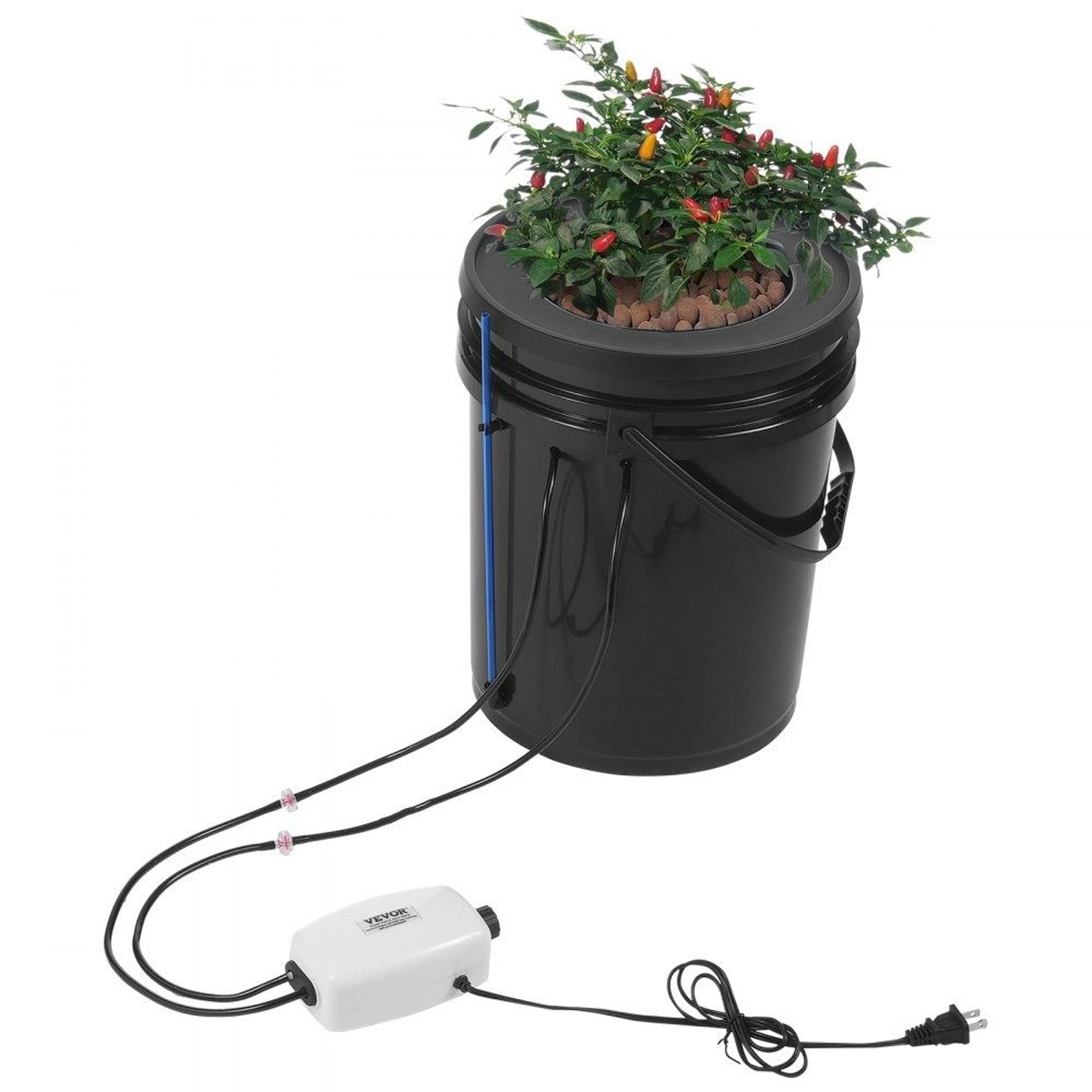 5 gallon dwc hydroponics grow system with top drip kit and air pump
