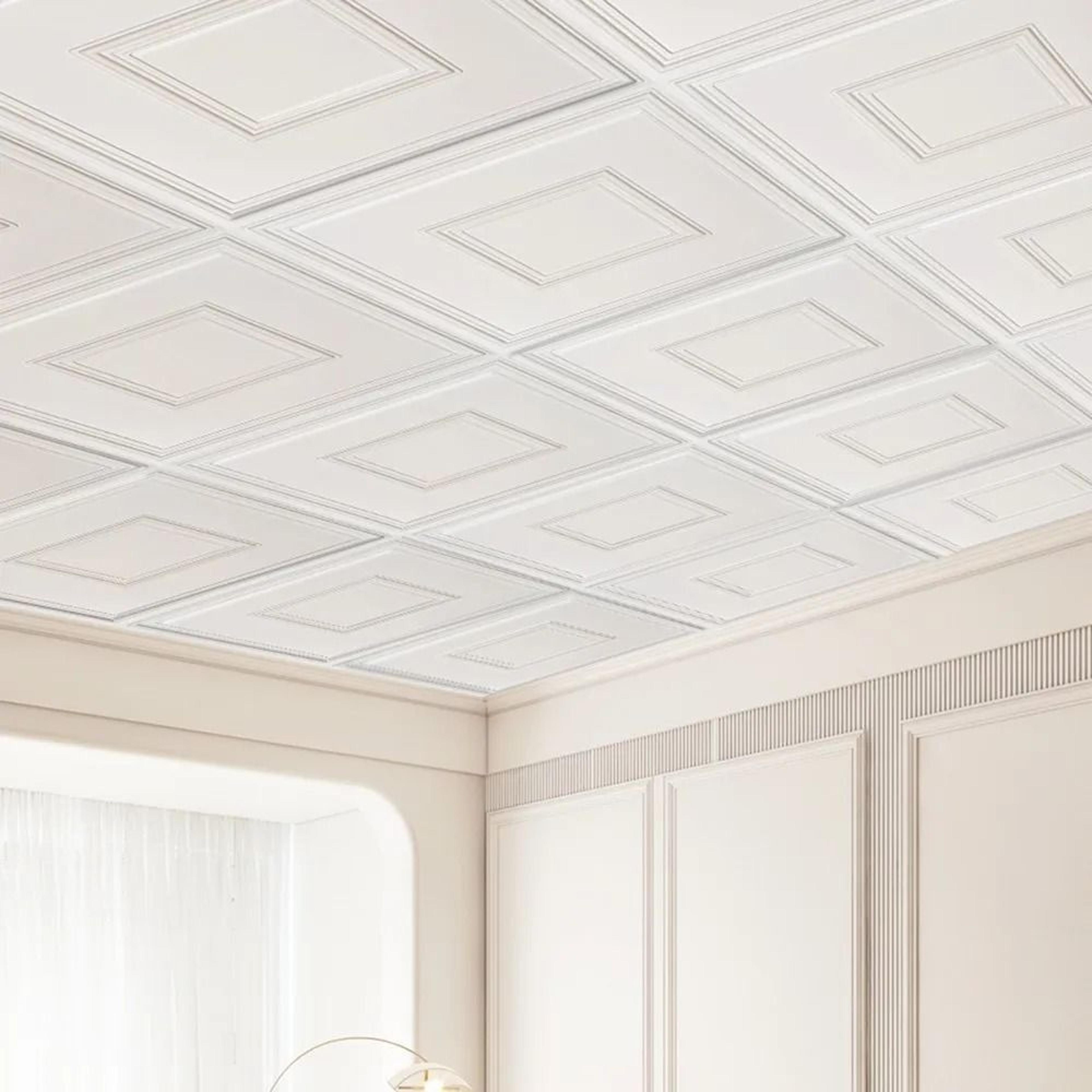 24 X 24 Inch PVC Drop Ceiling Tiles White Geometric 12 Pack 6