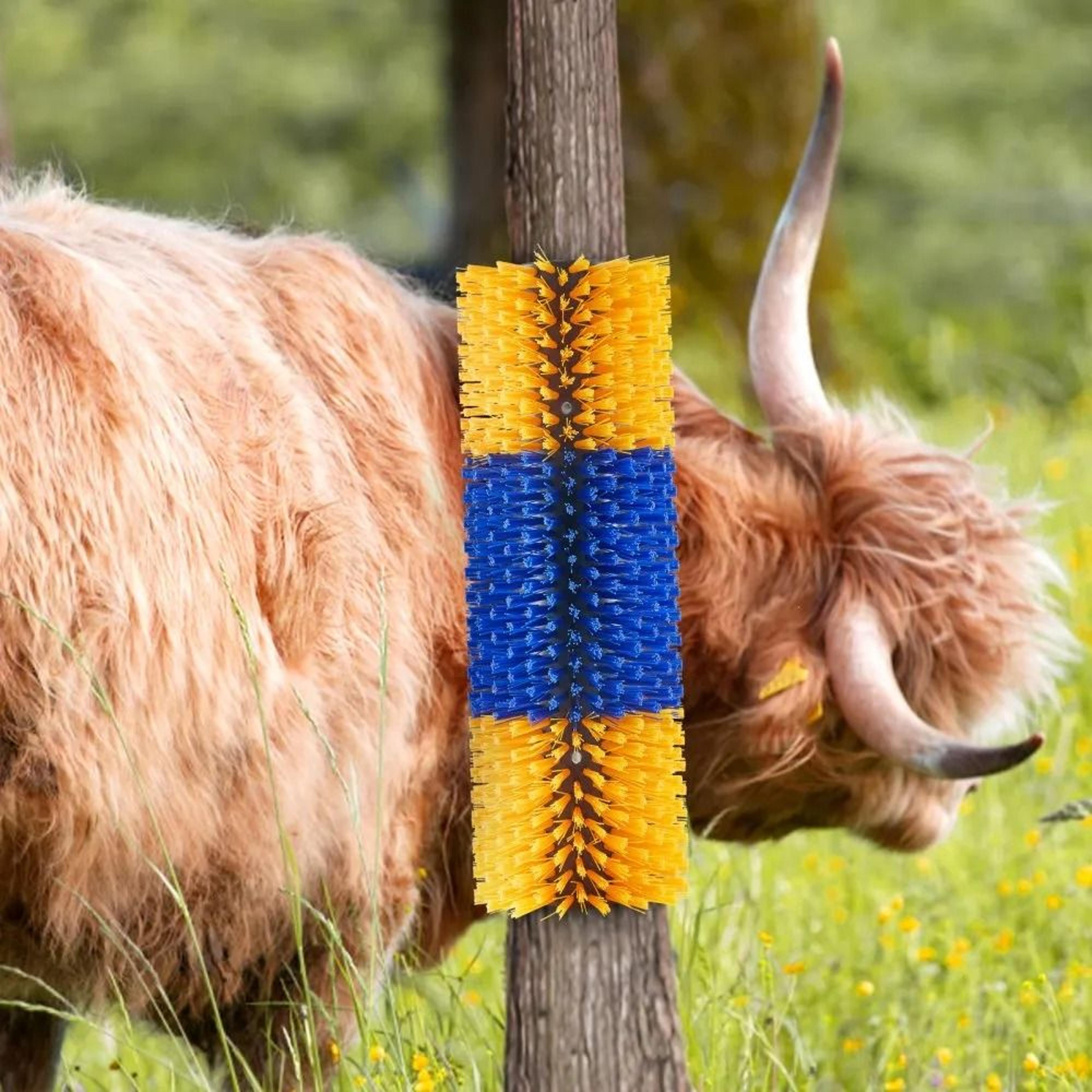 Livestock Scratching Brush 4 Piece Grooming Set With PBT Bristles 6