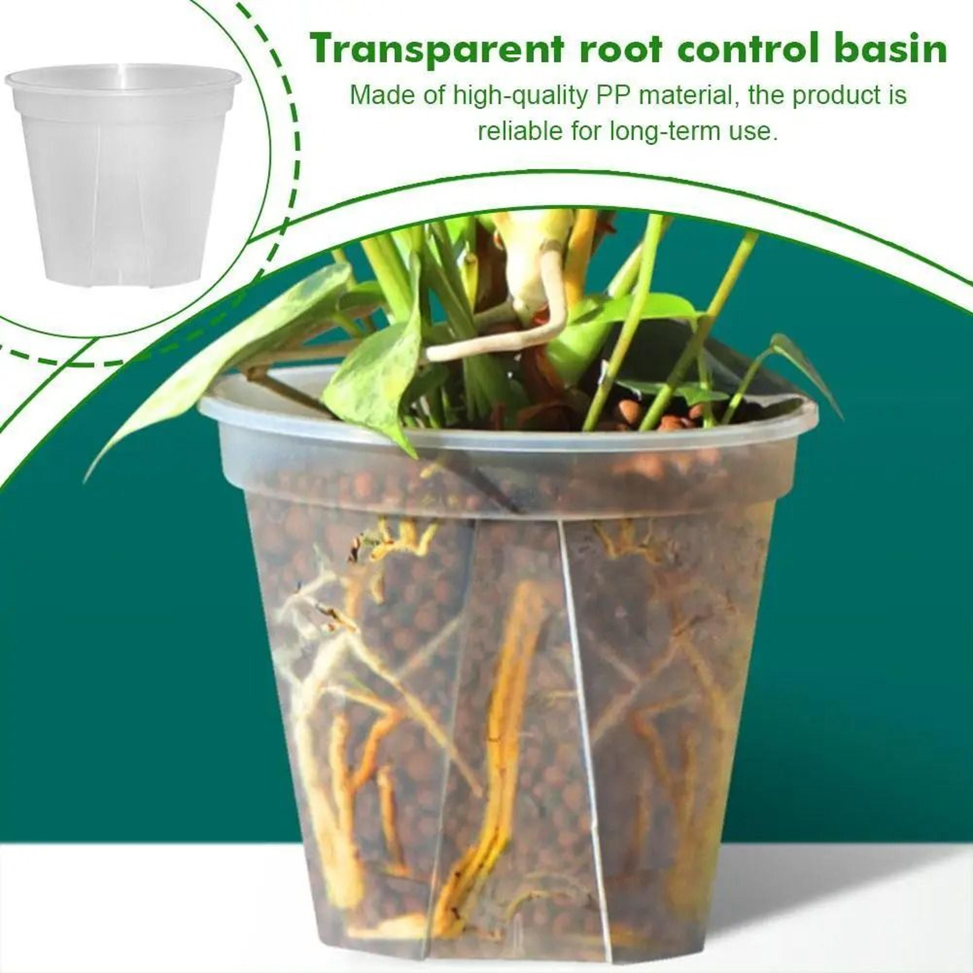 transparent green root control plant pot