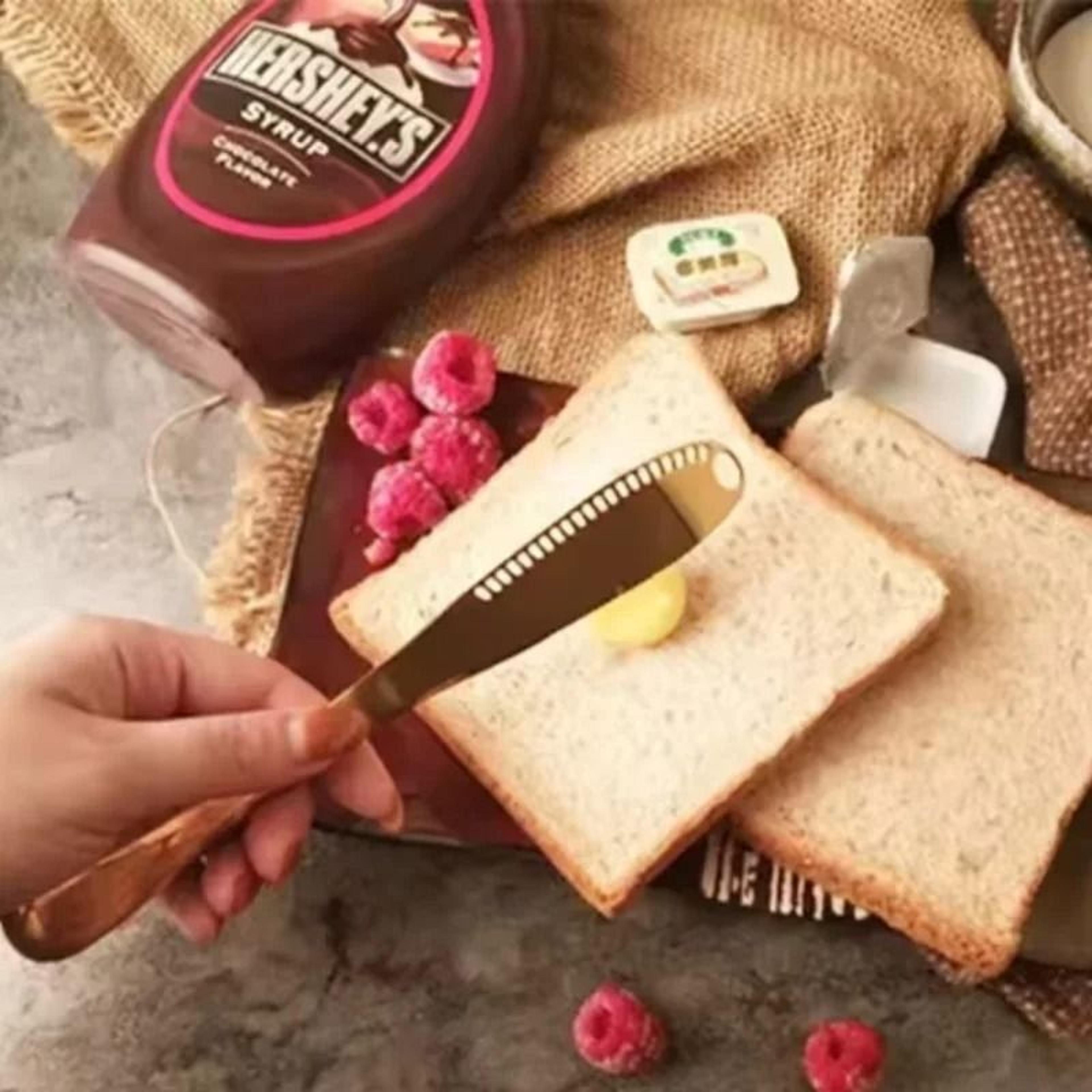 Stainless Steel Butter And Cheese Spread Knife With Non Stick Hole Design 1
