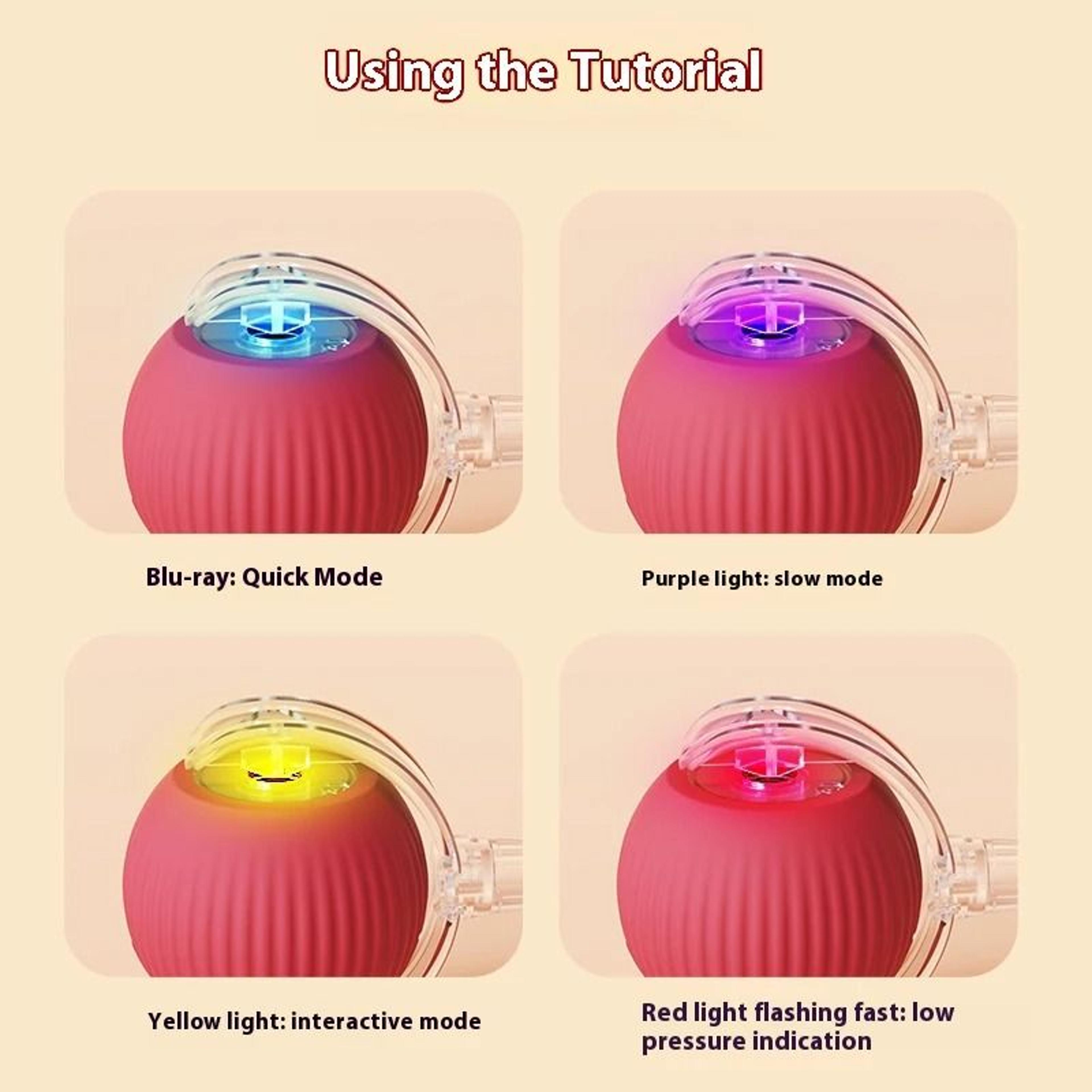Electric Rolling Cat Toy Ball With Teaser Bird 2