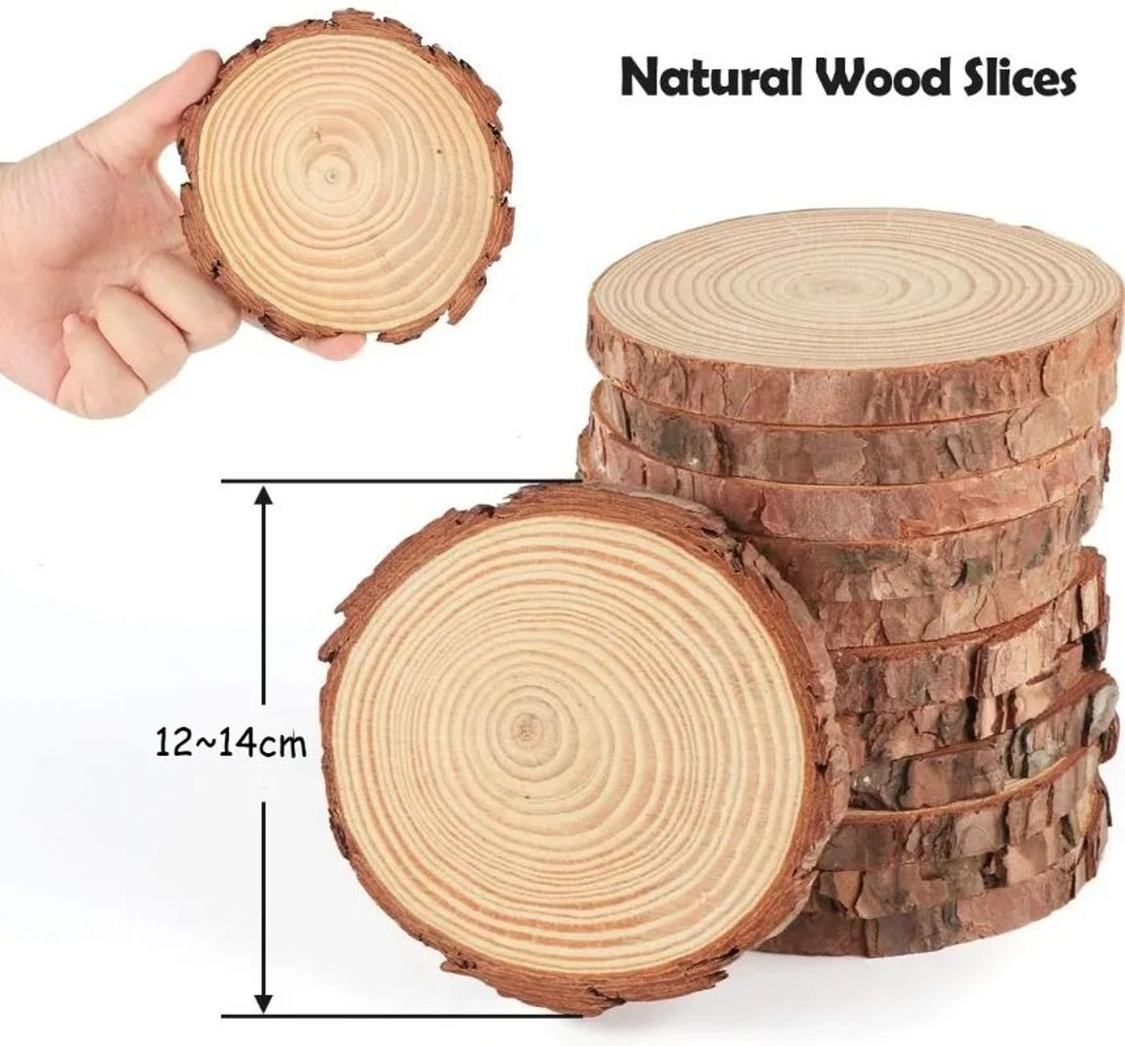 Natural Pine Wood Craft Slice Set 1