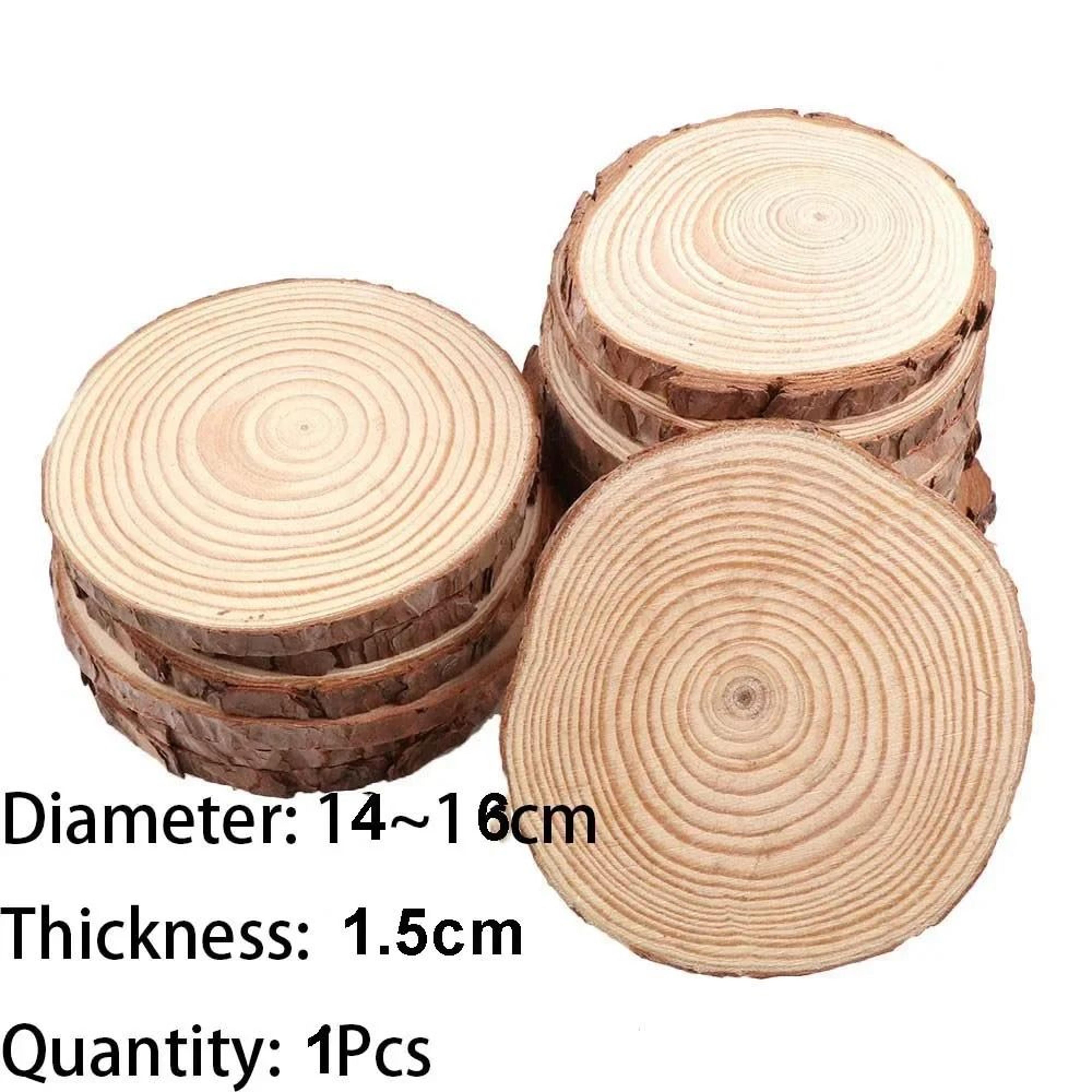 Natural Pine Wood Craft Slice Set 12